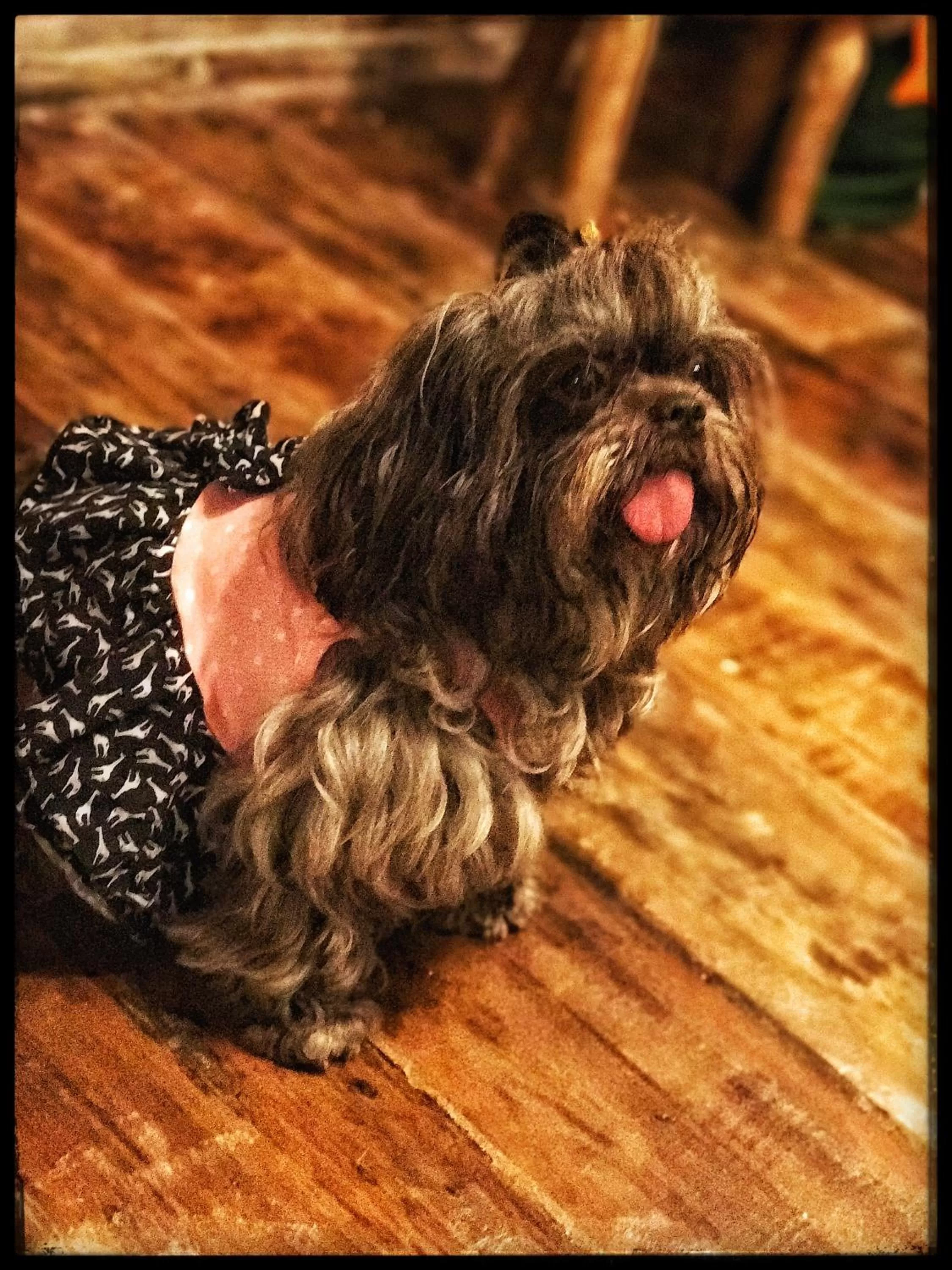 Other in Finca Campestre La Adelita B&B