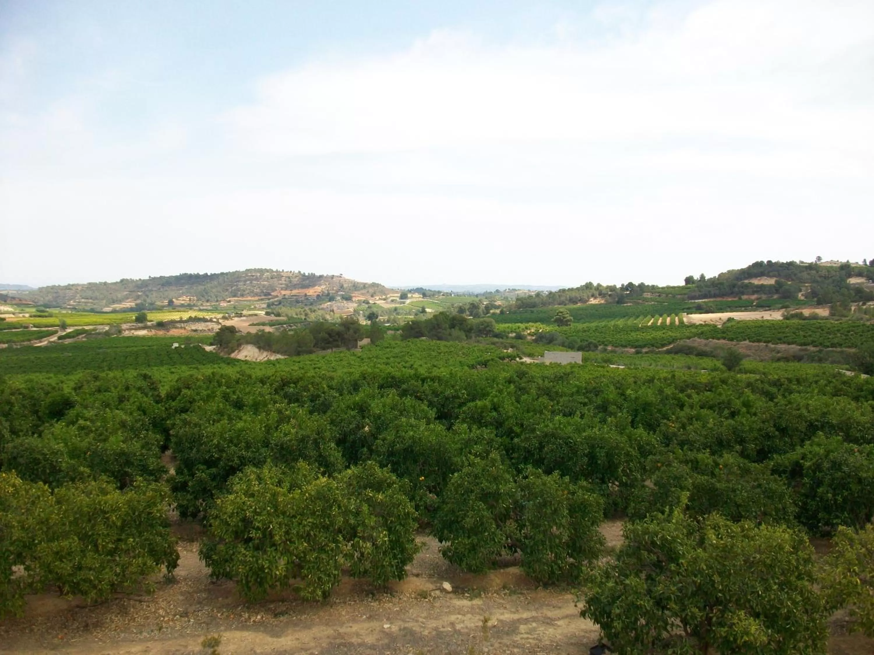 View (from property/room), Bird's-eye View in Casa Robion