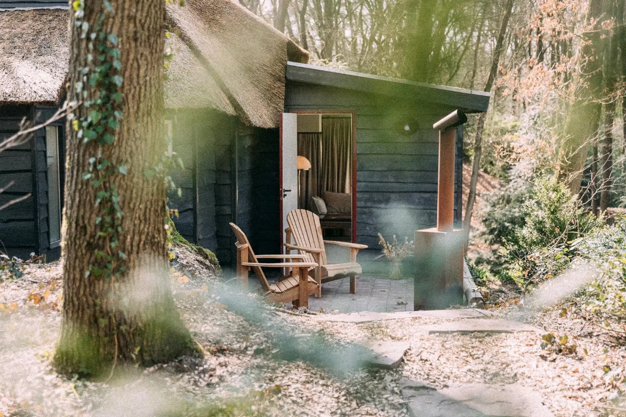 Garden in de Wever Lodge