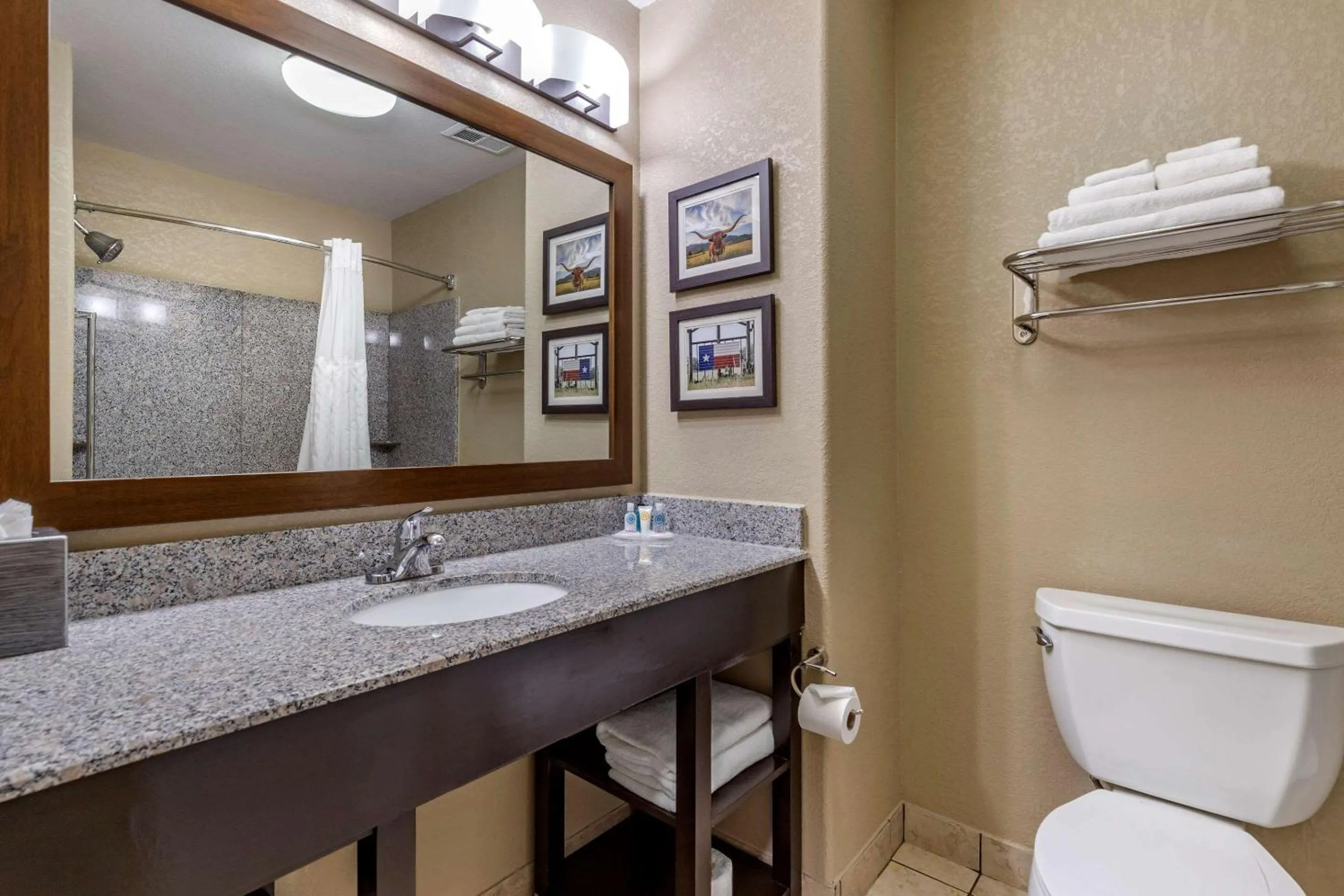 Bathroom in Comfort Suites Georgetown