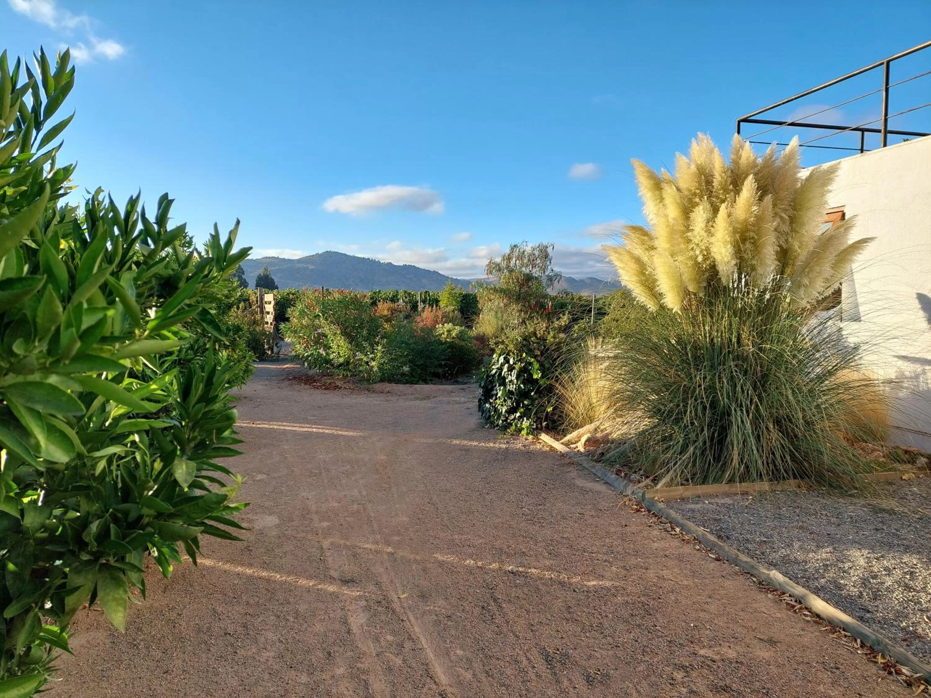 Natural landscape in Callihue Lodge