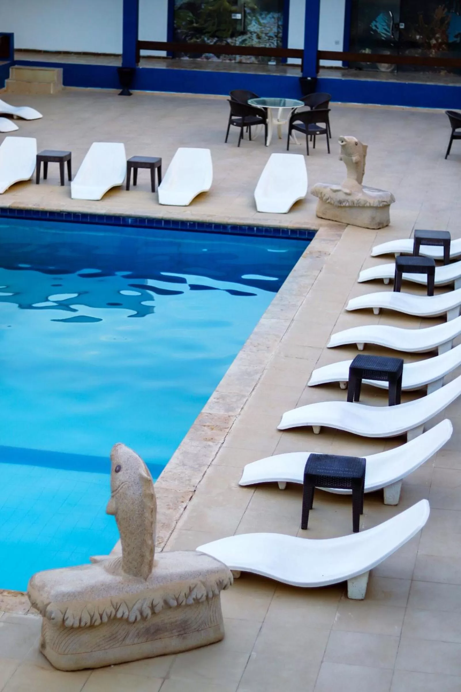 Pool view in Aqaba Adventure Divers Resort & Dive Center