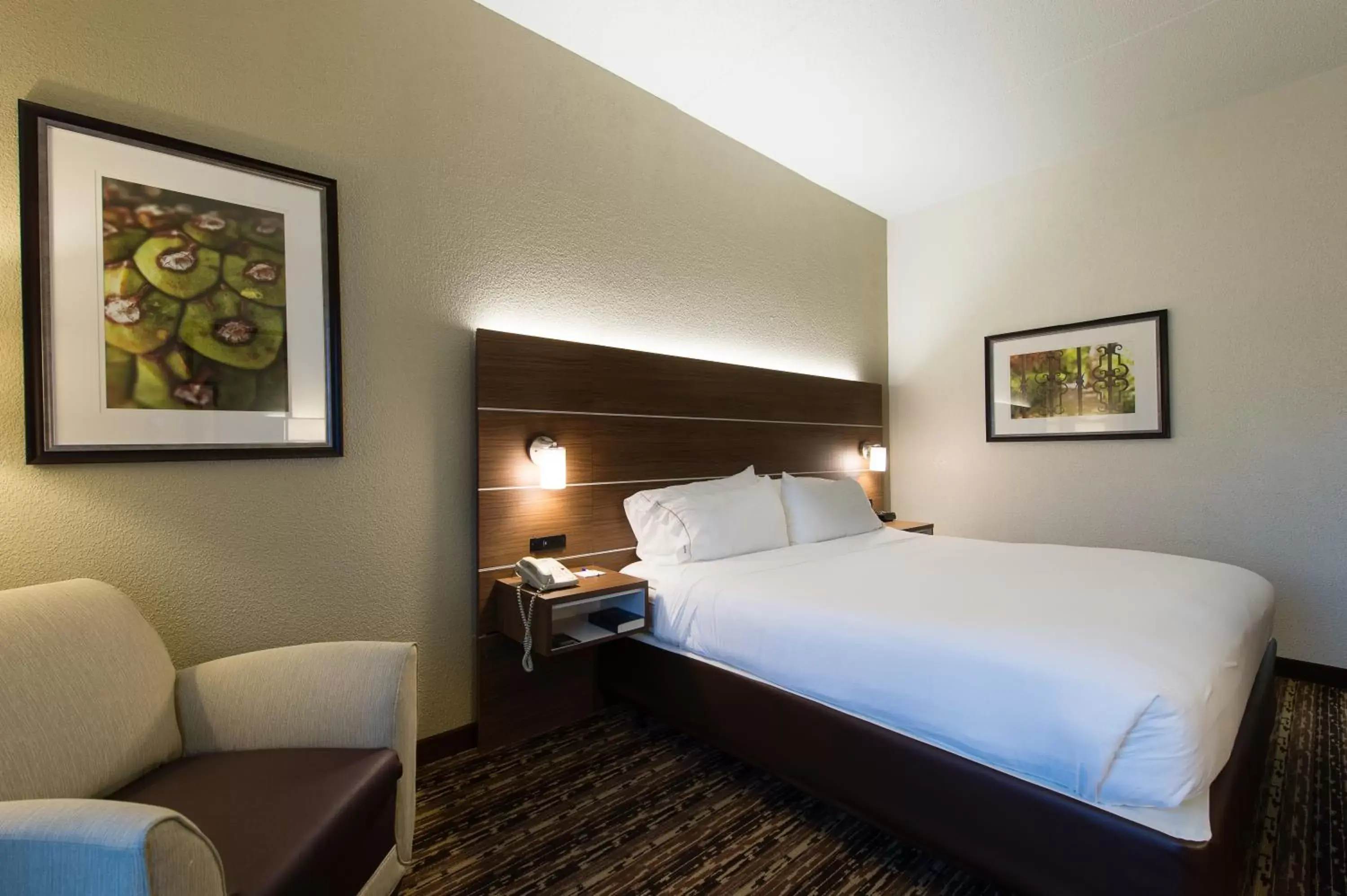 King Room - Hearing Accessible/Non-Smoking in Holiday Inn Express & Suites Walterboro, an IHG Hotel King Room - Hearing Accessible/Non-Smoking in Holiday Inn Express & Suites Walterboro, an IHG Hotel