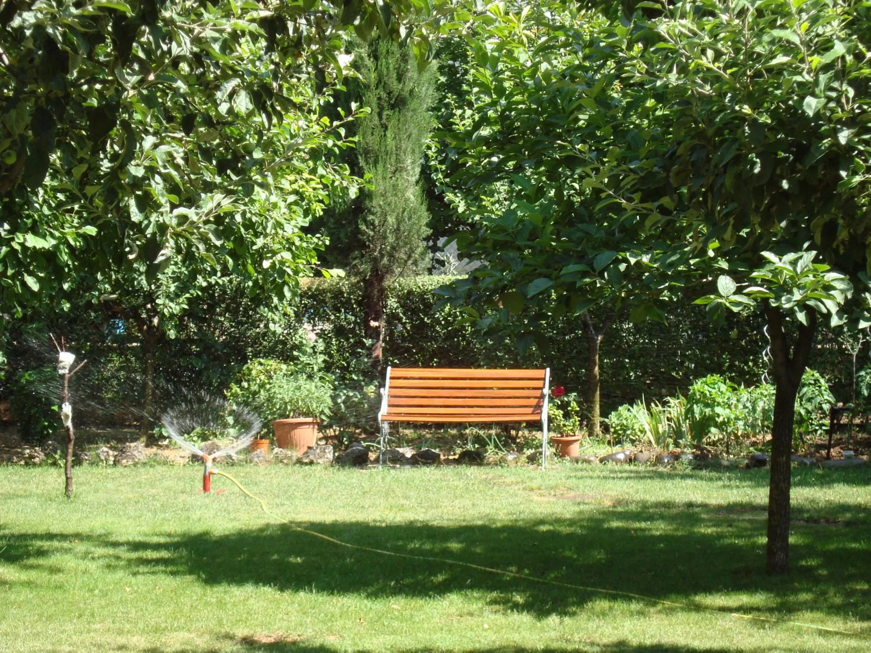 Garden in B&B Esperança