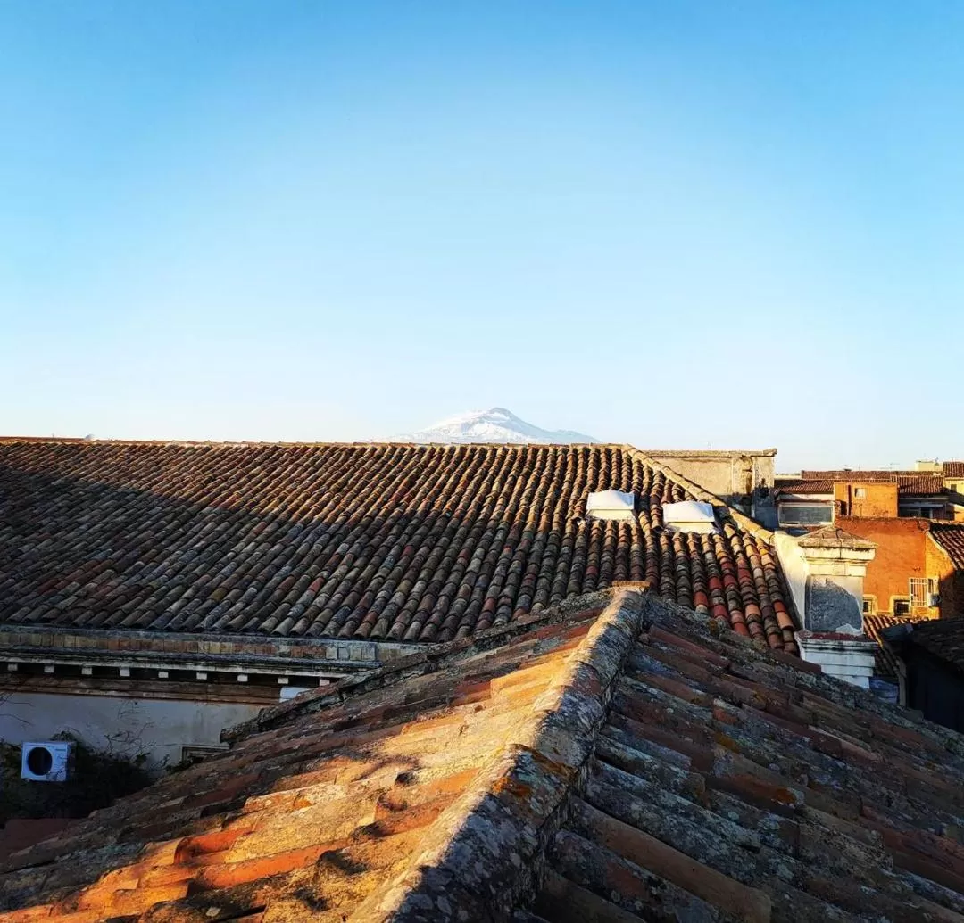 Day in Hotel Biscari