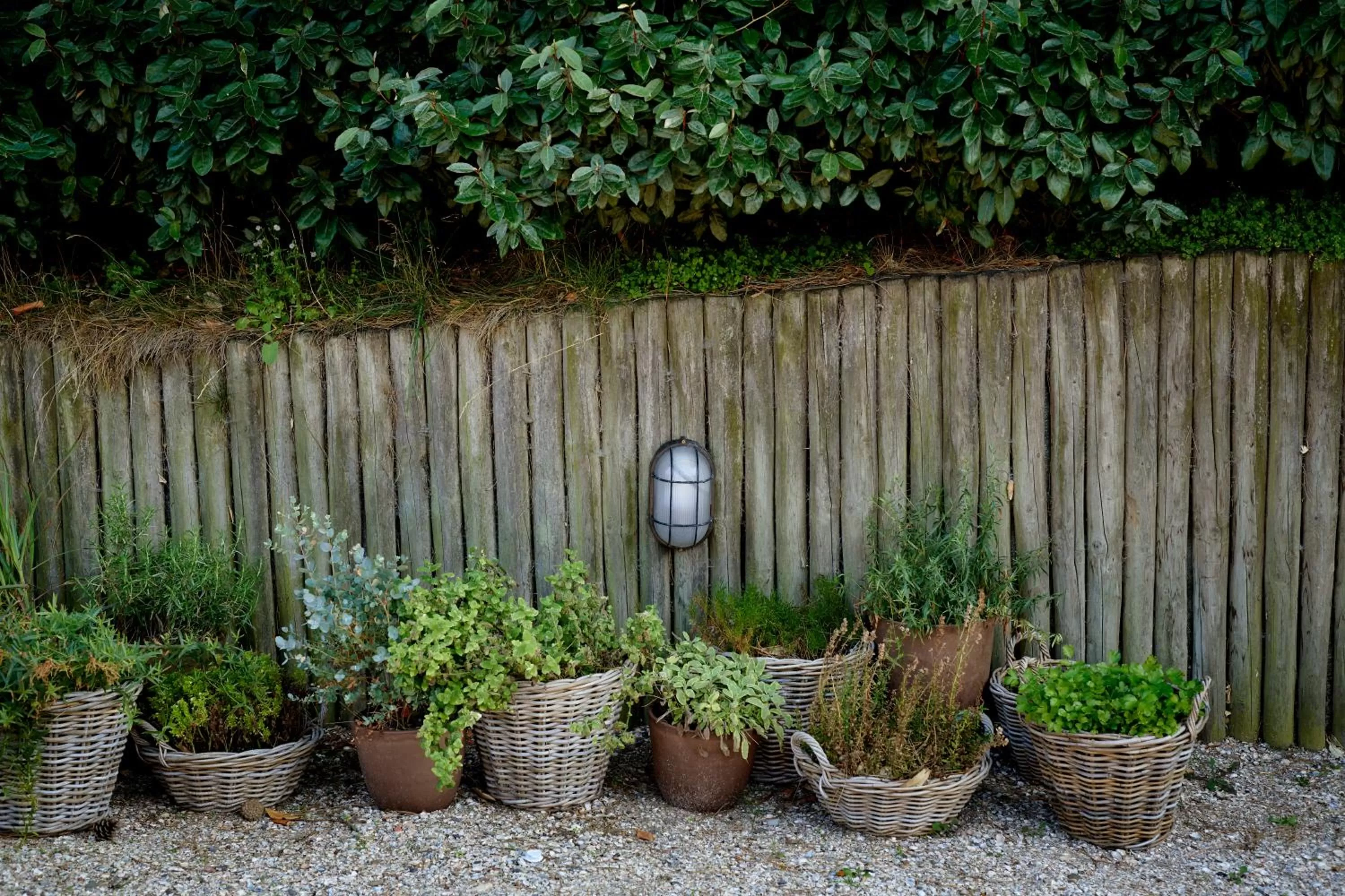 Garden in Hotel Zonne