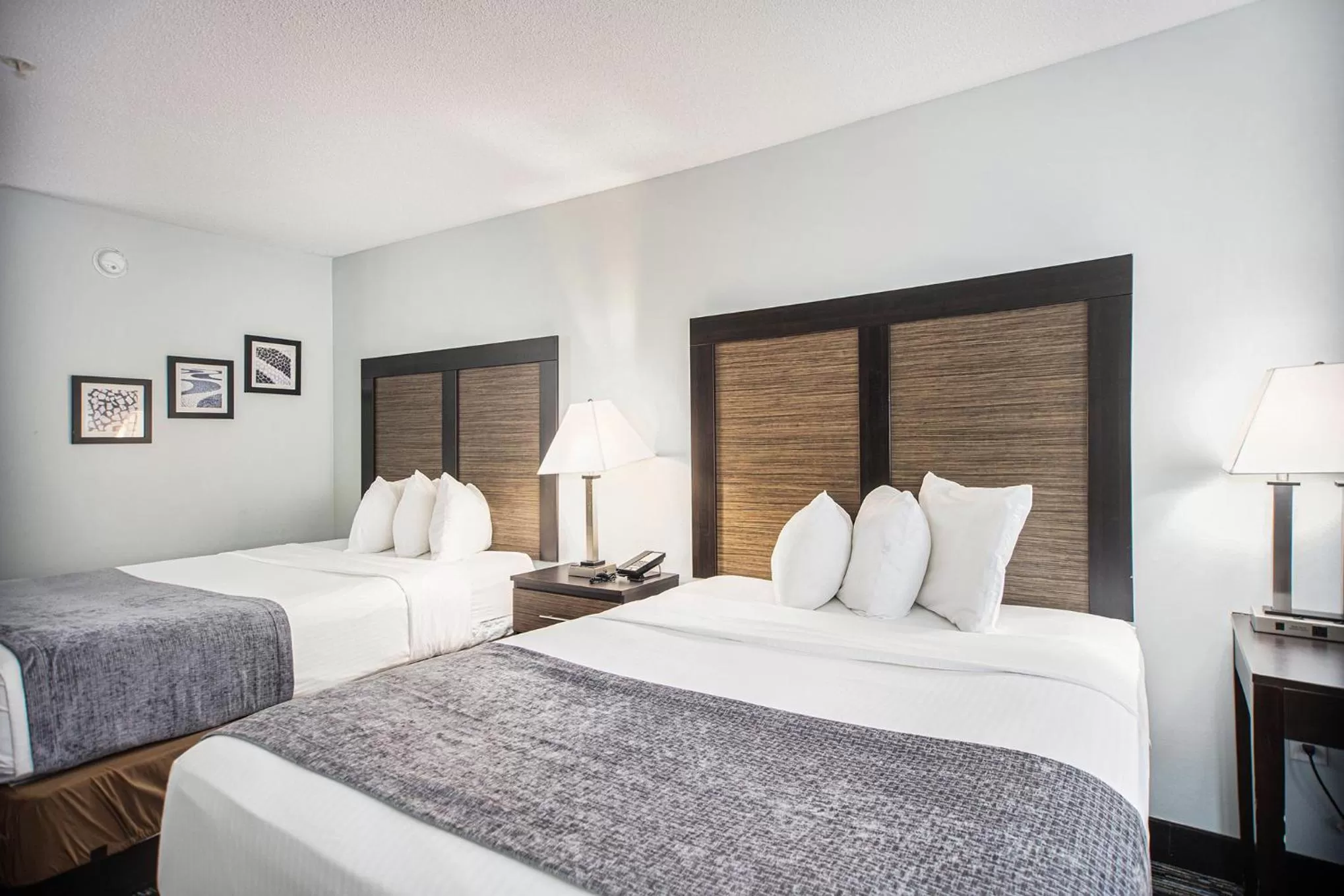 Photo of the whole room, Bed in Baymont by Wyndham Grand Haven