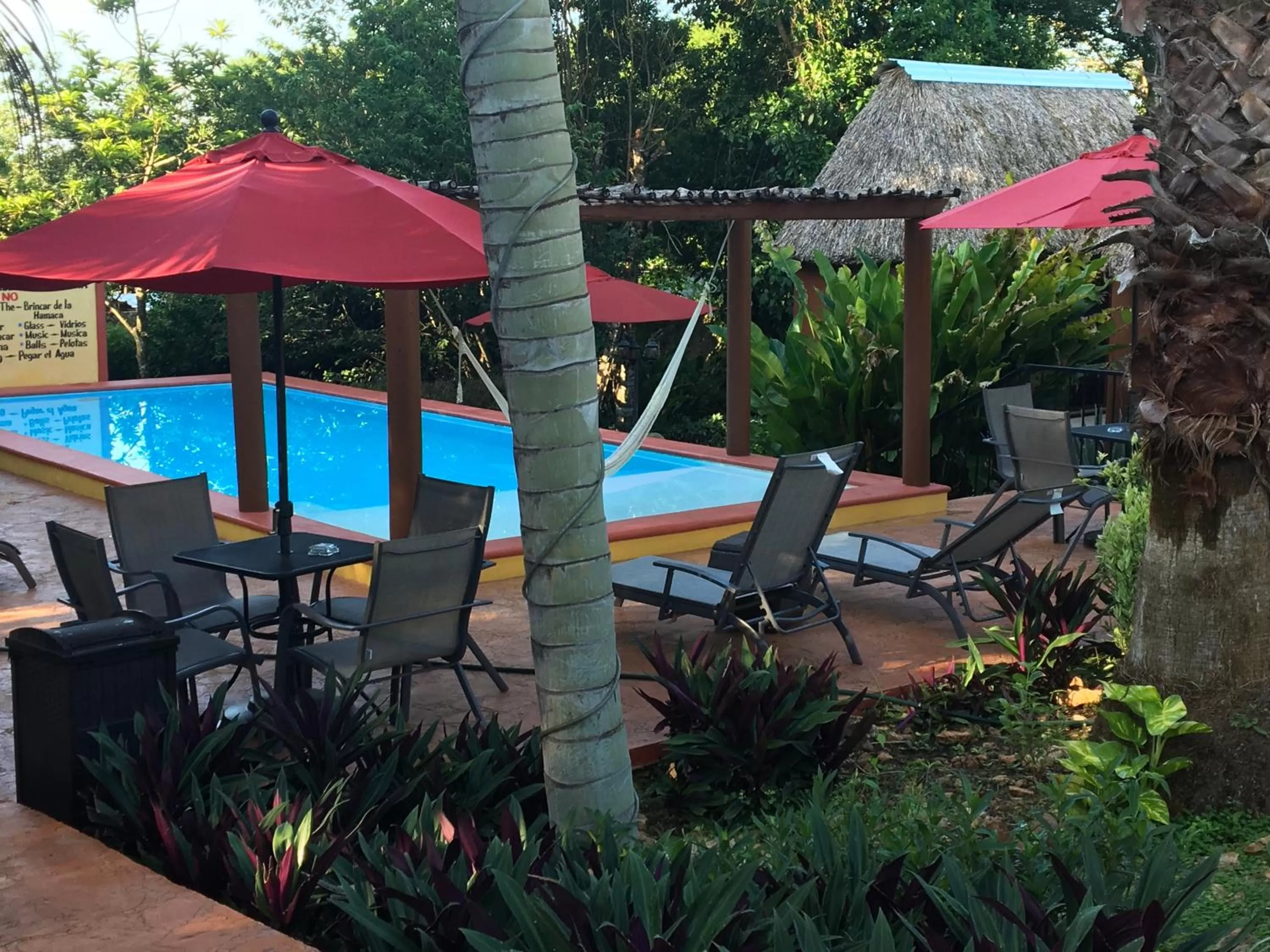 Patio, Swimming Pool in The Pickled Onion Eco-Boutique B&B