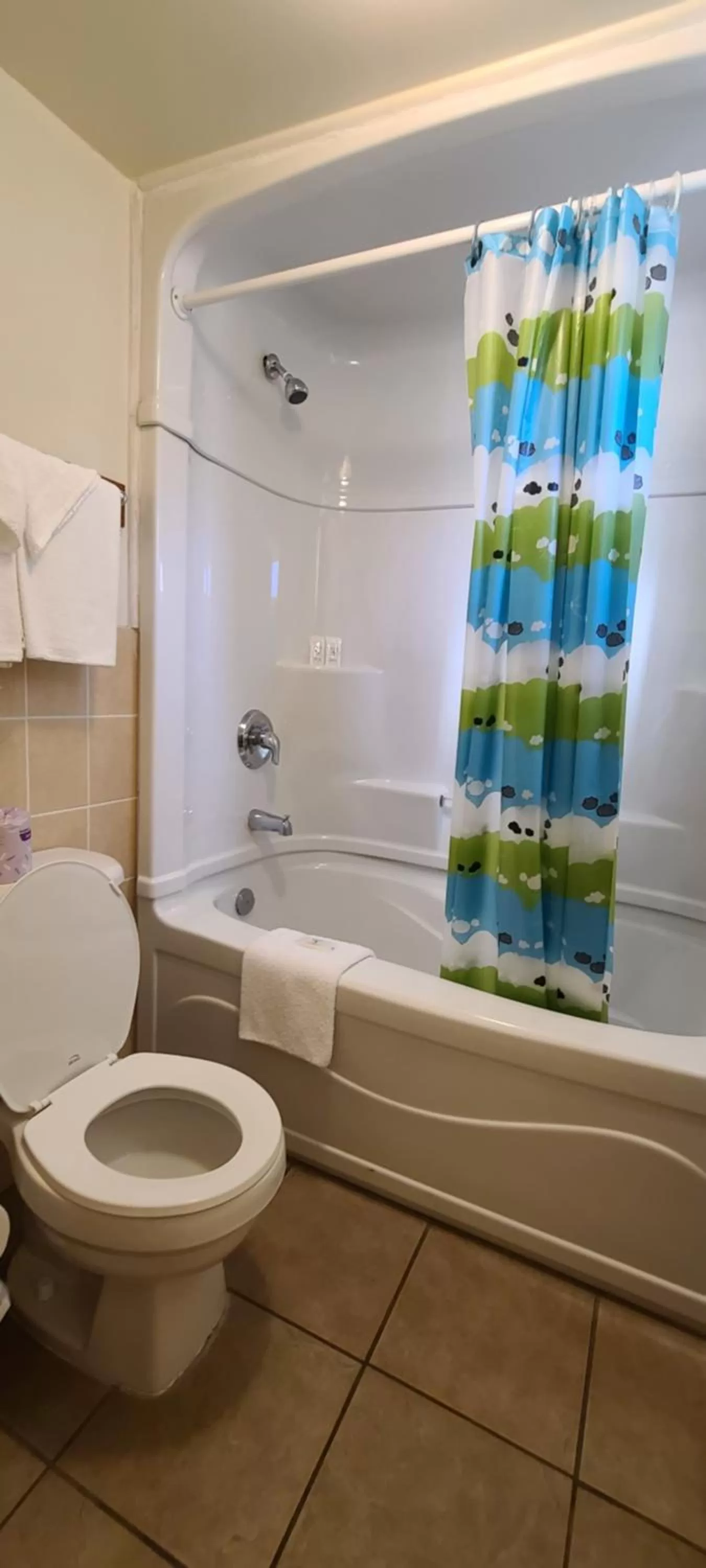 Bathroom in Choice Inn by the falls