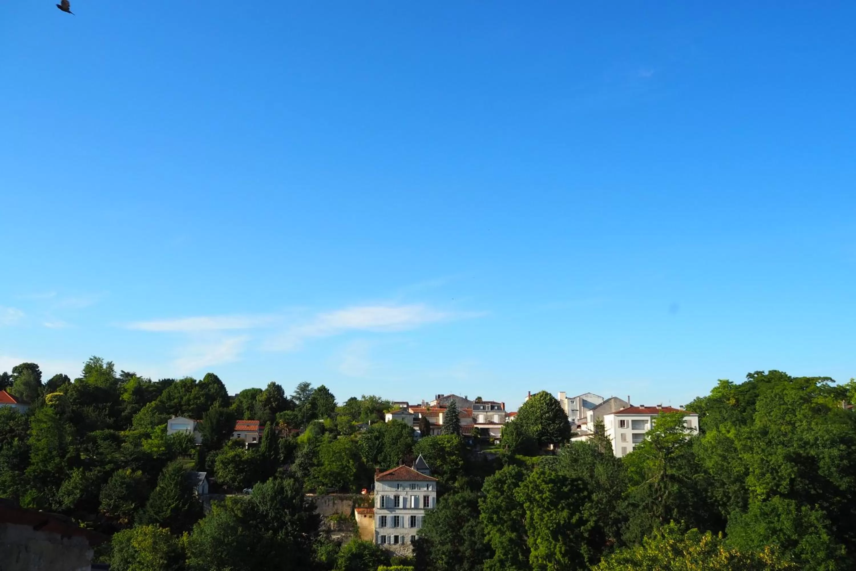 Garden view in La Belle Etoile