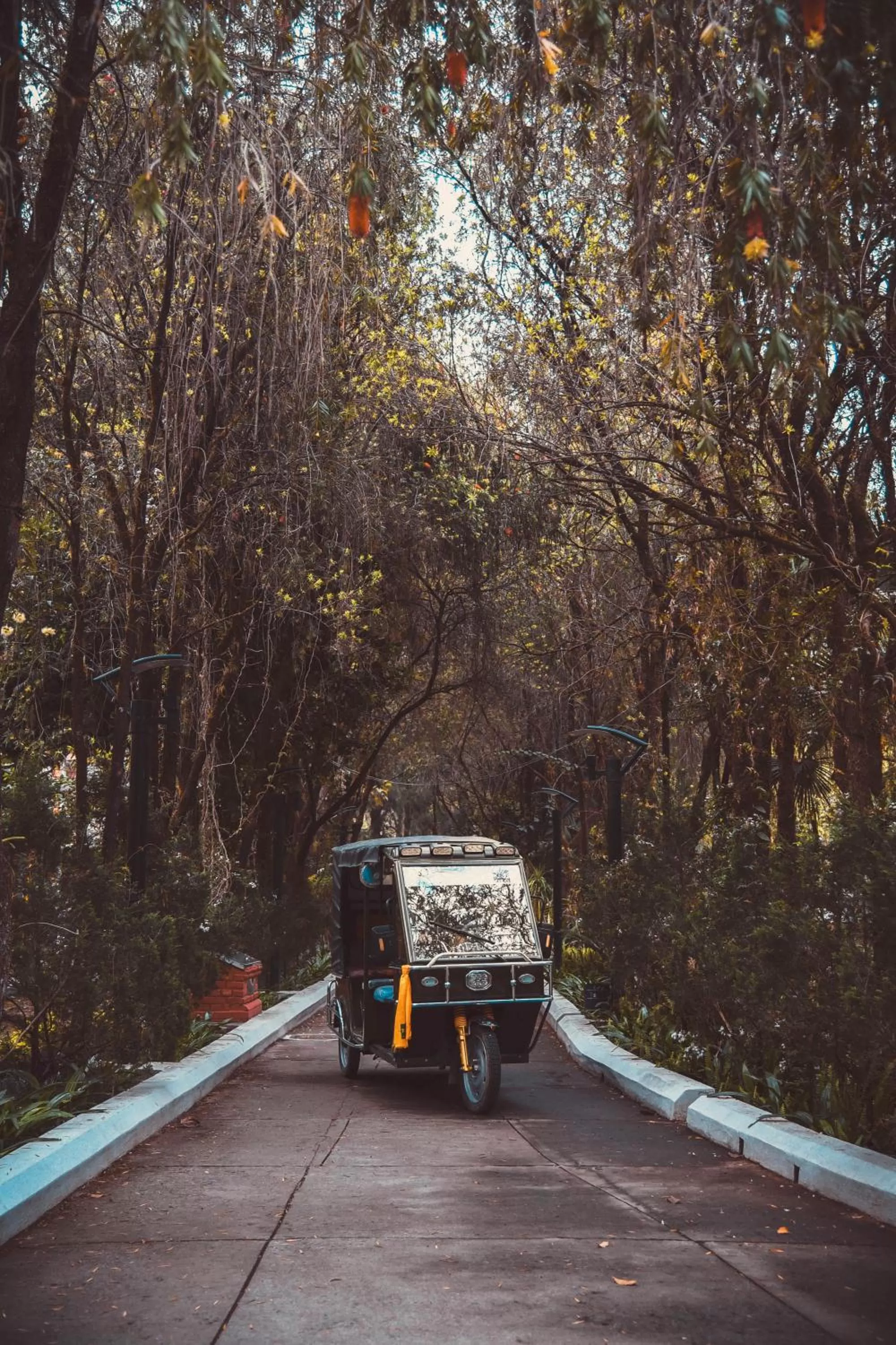 Garden view in Park Village Resort by KGH Group