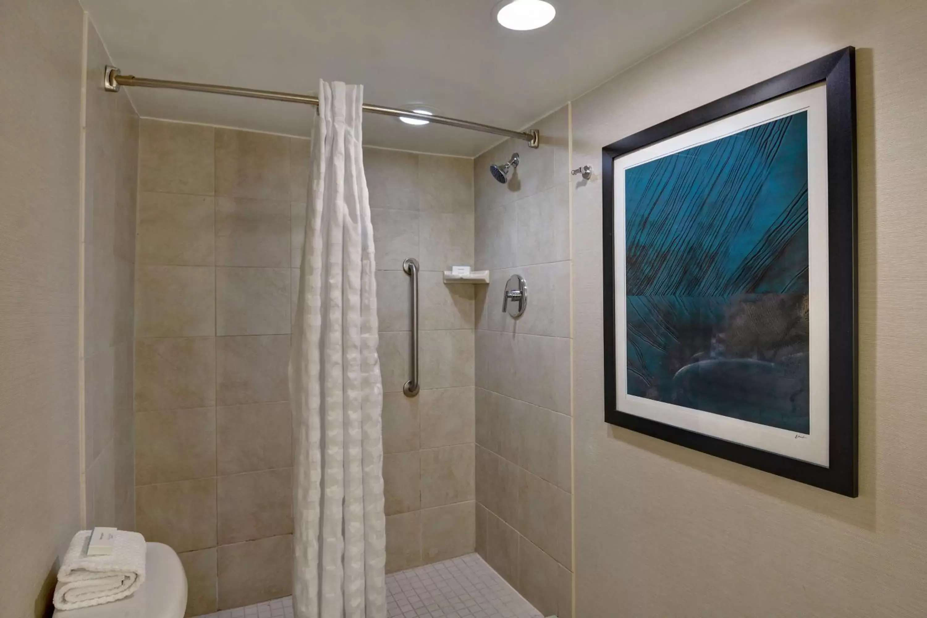One-Bedroom Queen Suite with Roll-In Shower - Mobility Accessible/Non-Smoking in Embassy Suites Winston-Salem One-Bedroom Queen Suite with Roll-In Shower - Mobility Accessible/Non-Smoking in Embassy Suites Winston-Salem