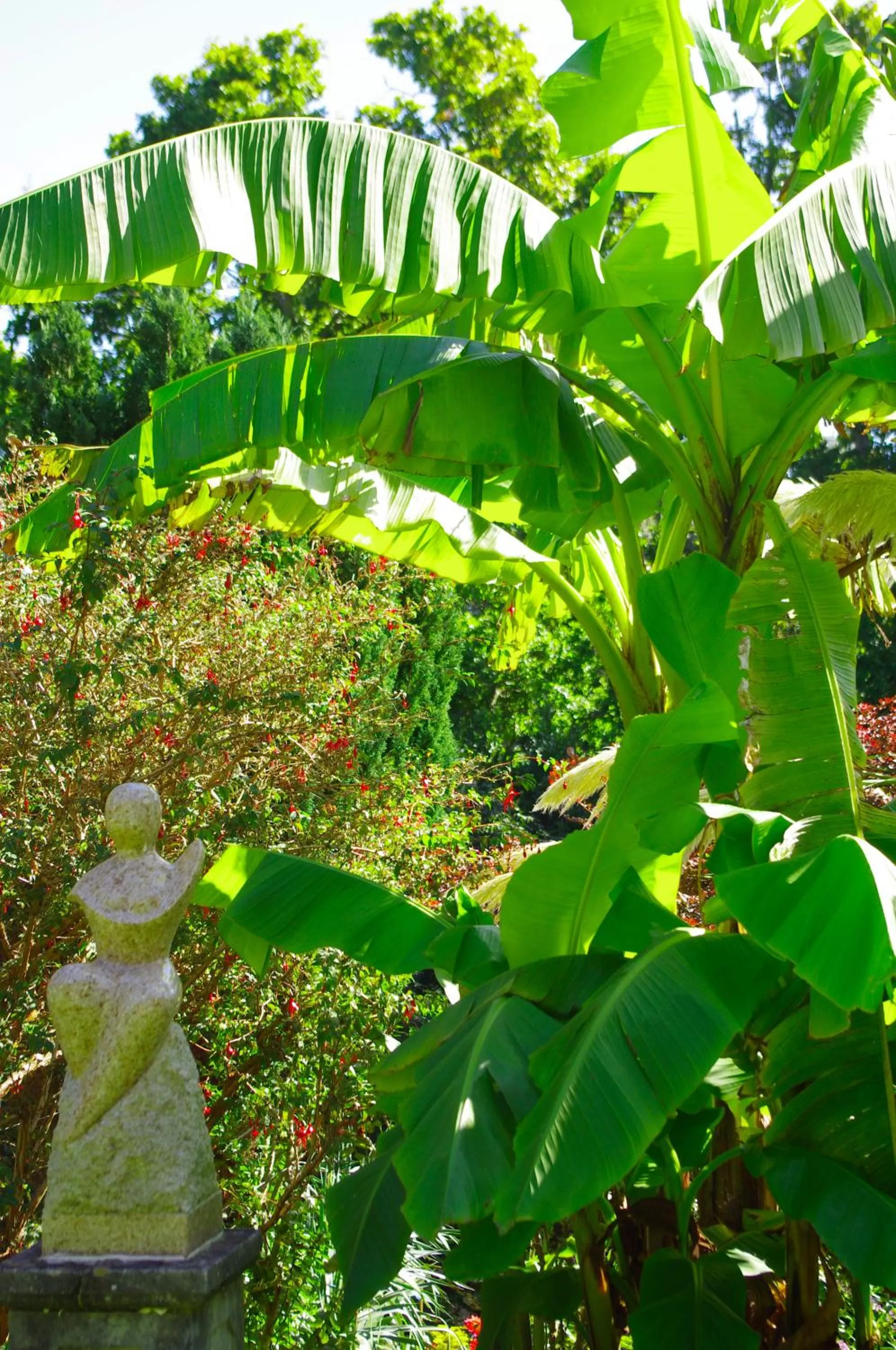 Garden in The Grange B&B