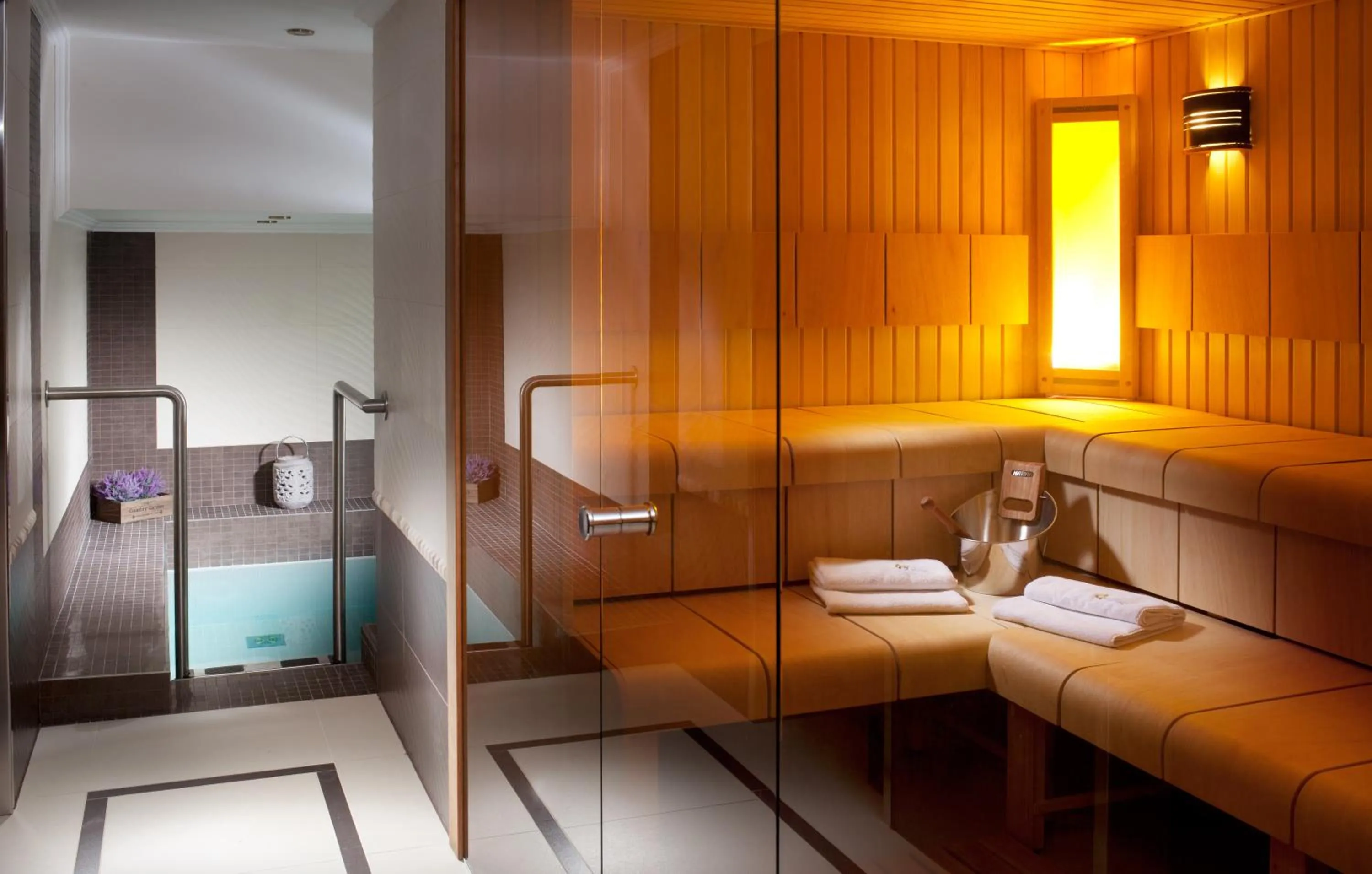 Sauna, Bed in Hotel Excelsior