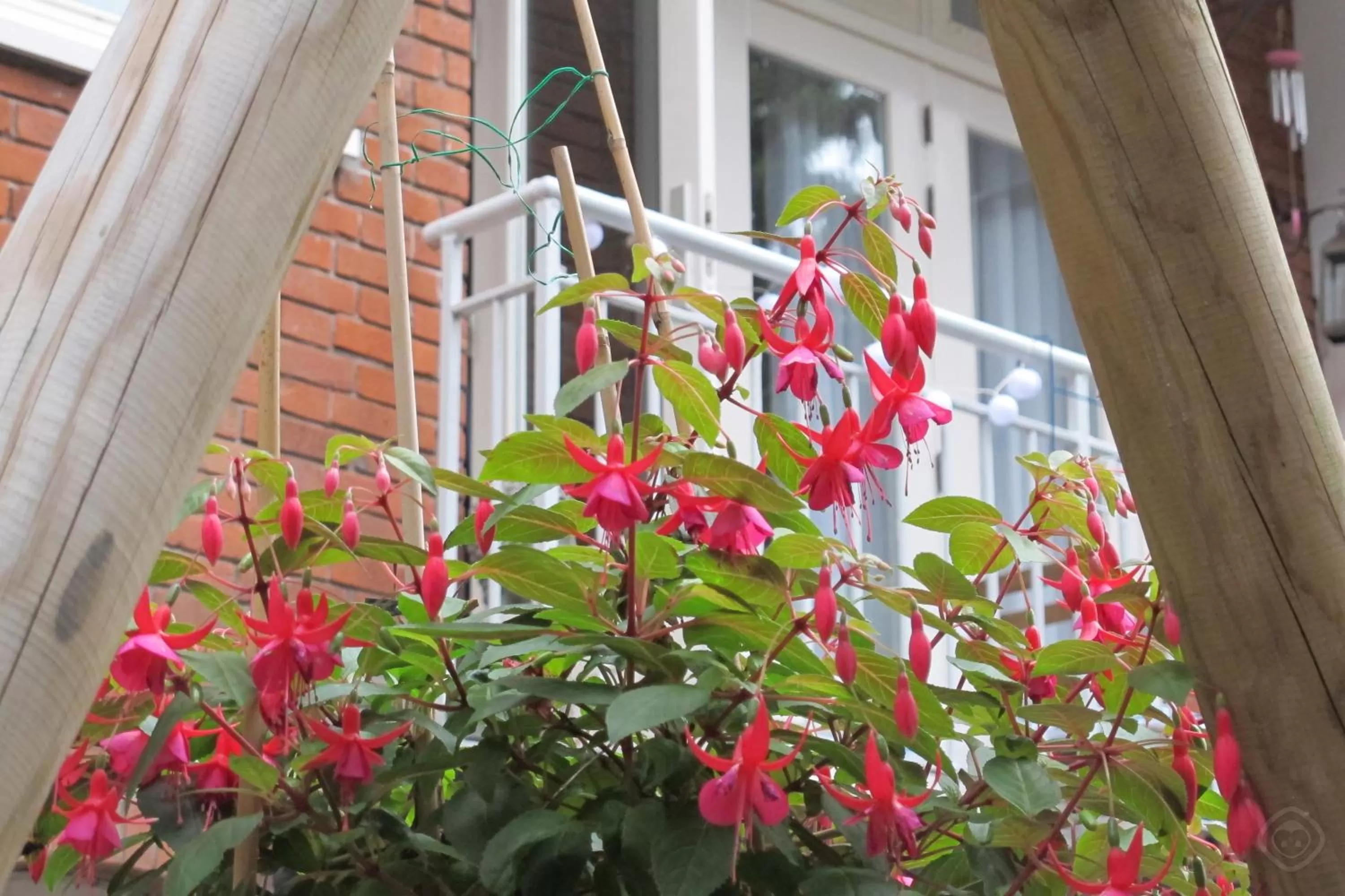 Property building in B&B West City Amsterdam