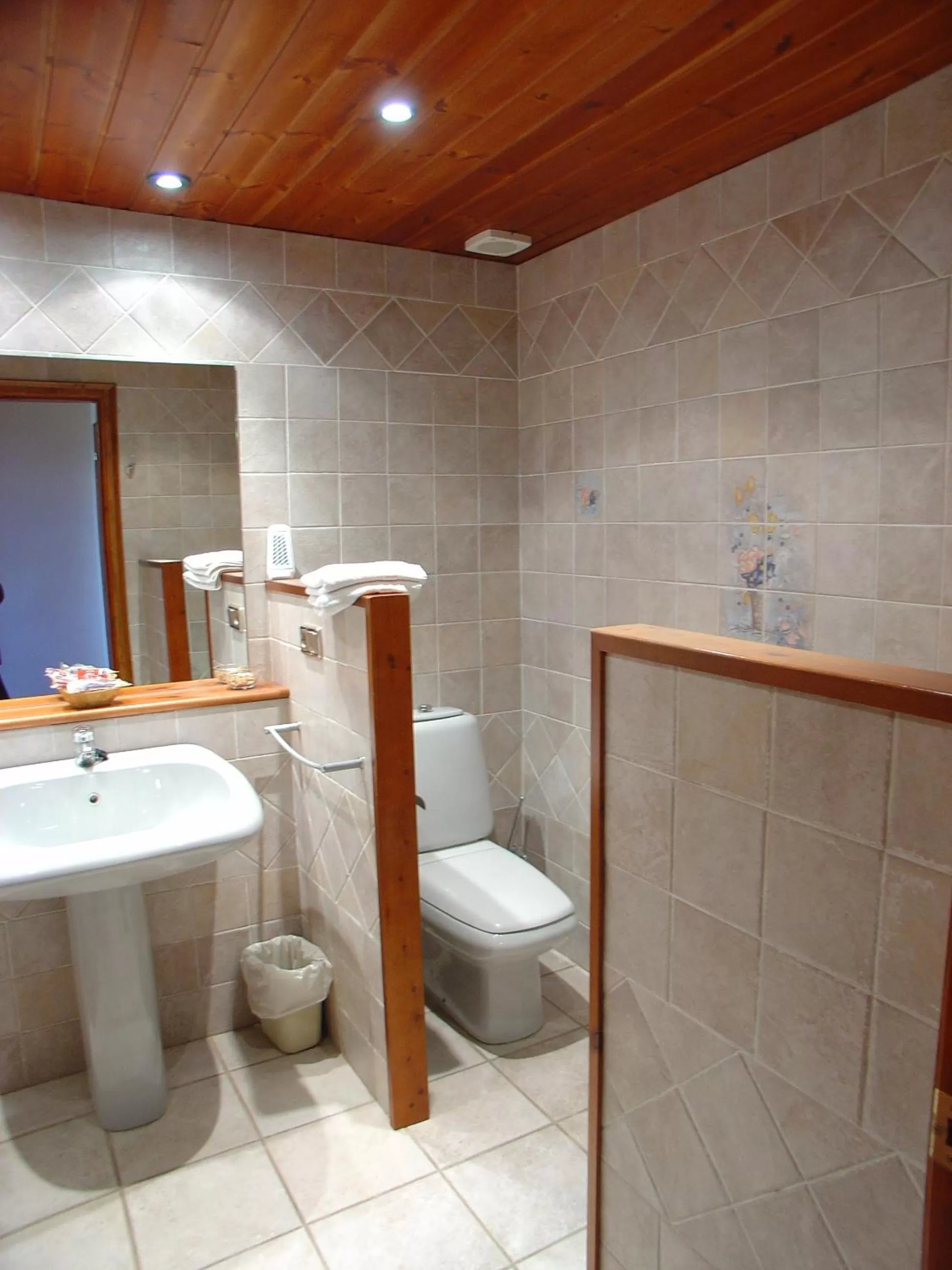 Bathroom in Mas de la Sala