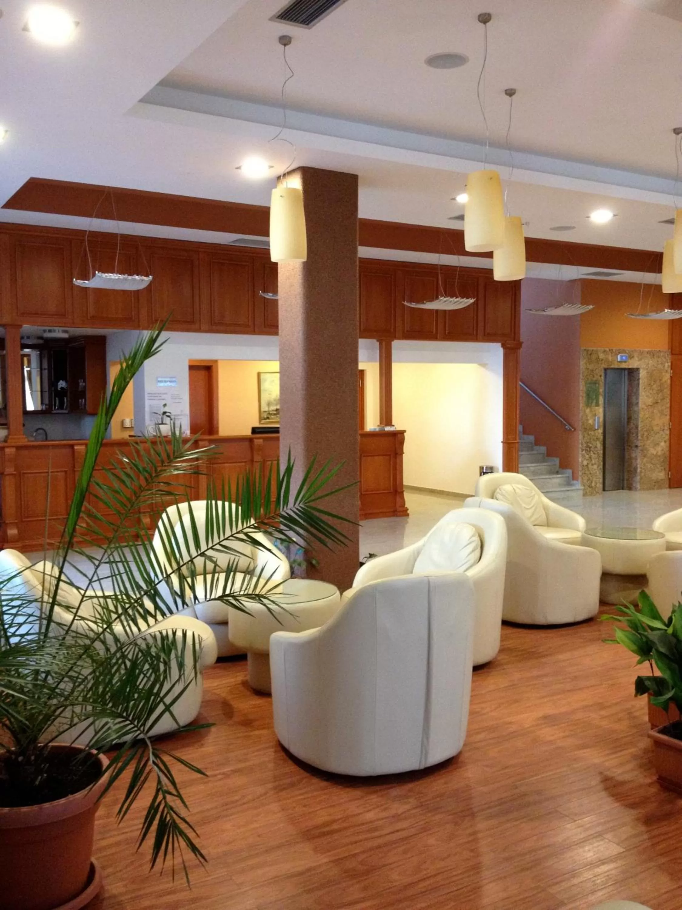 Lobby or reception, Lobby/Reception in Hotel Millennium