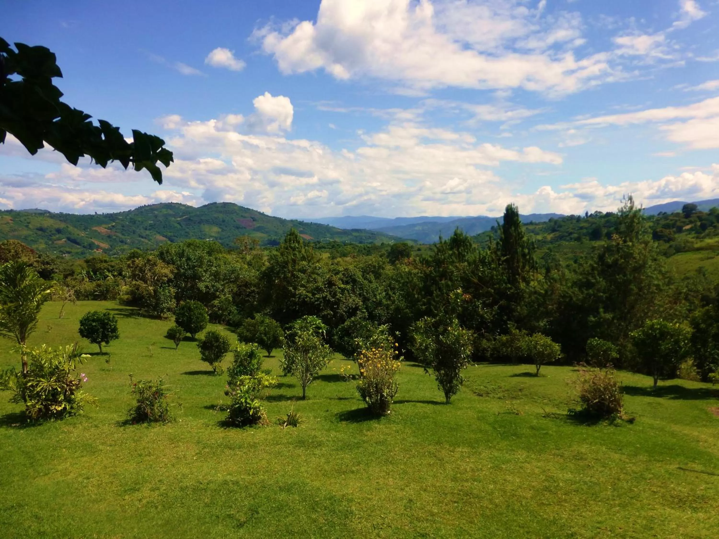 Garden in Finca El Cielo
