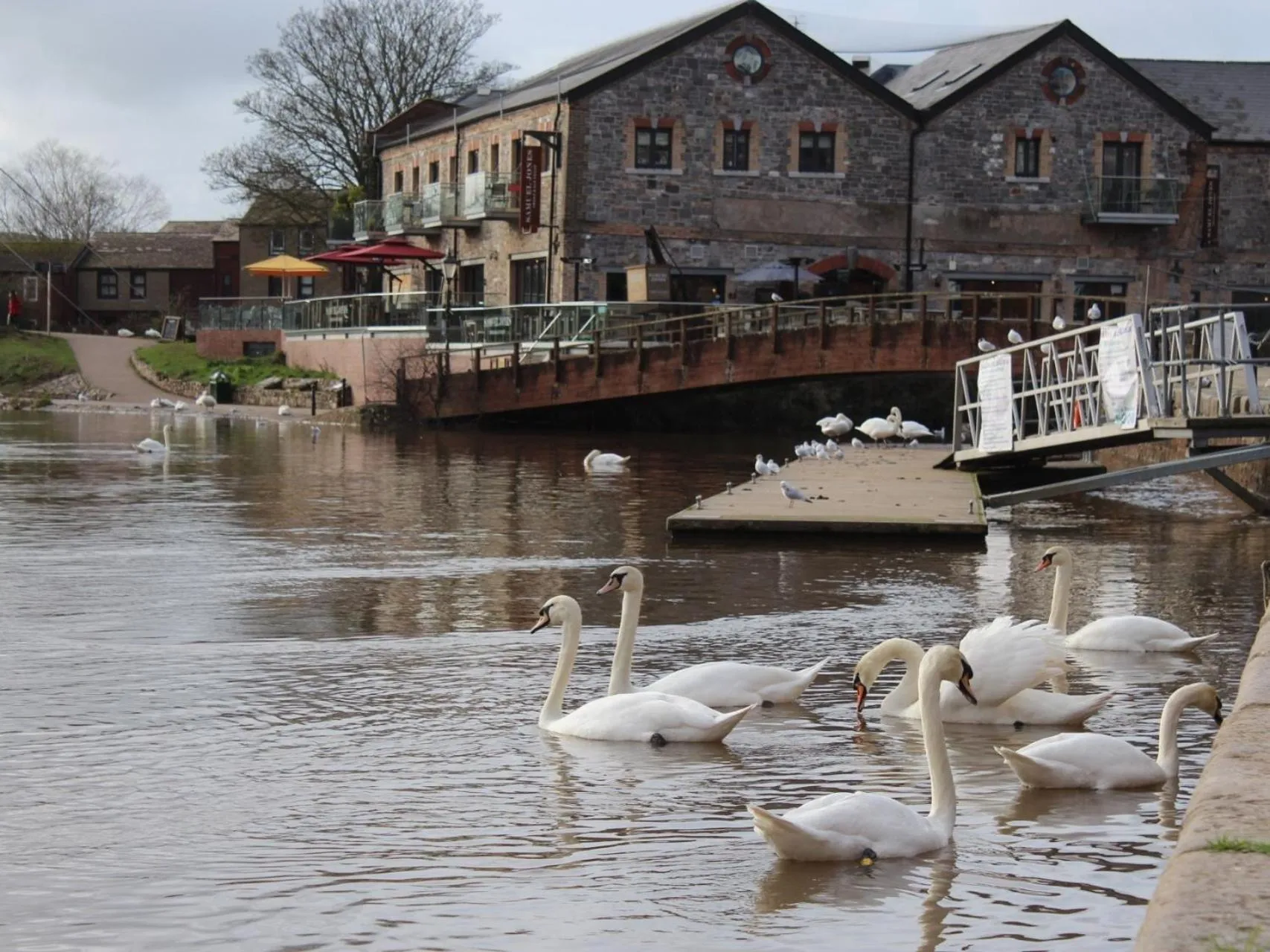 Activities in Bendene Townhouse - Exeter