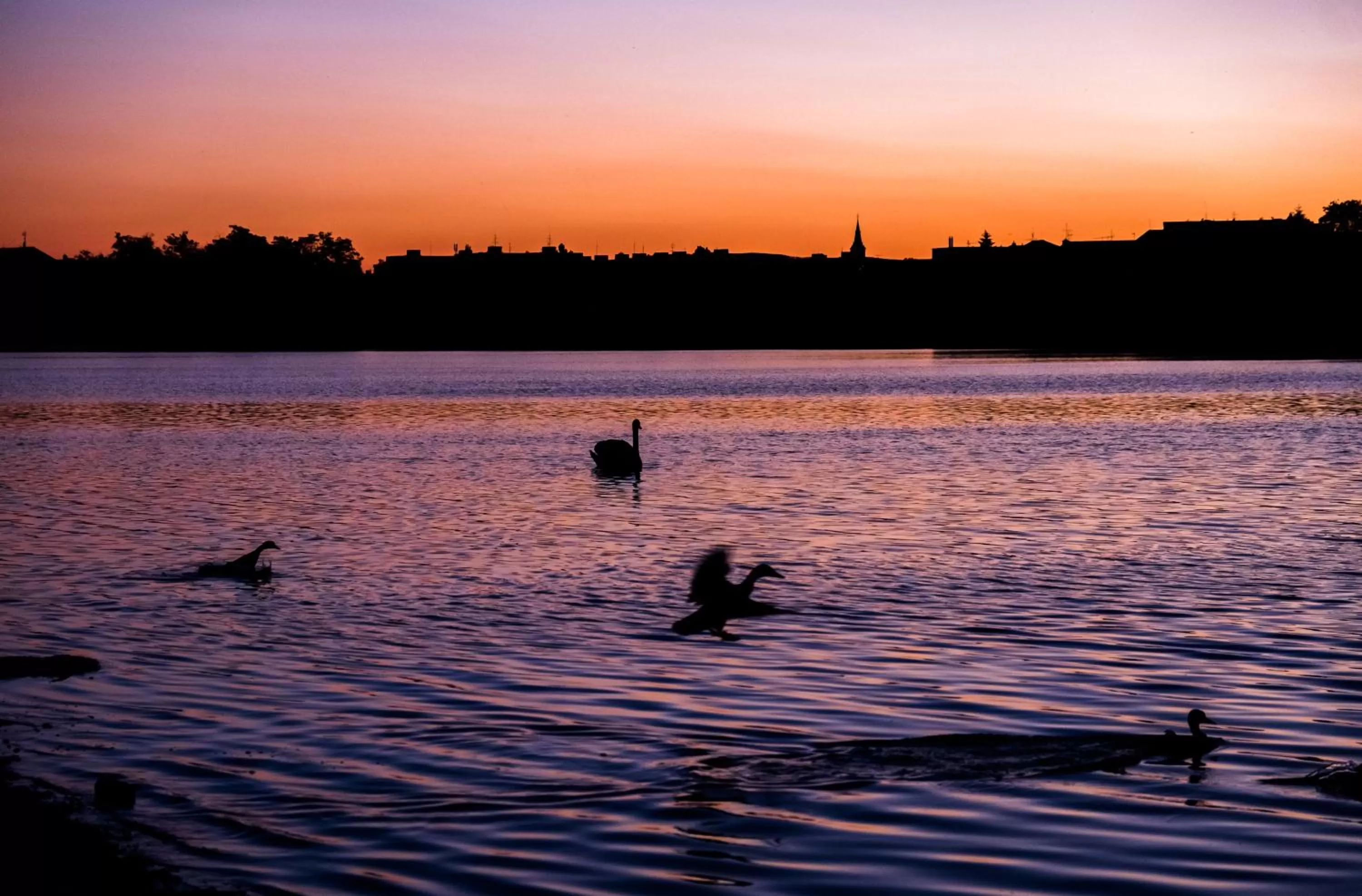 Neighbourhood in Hotel Dolphin - Adult friendly