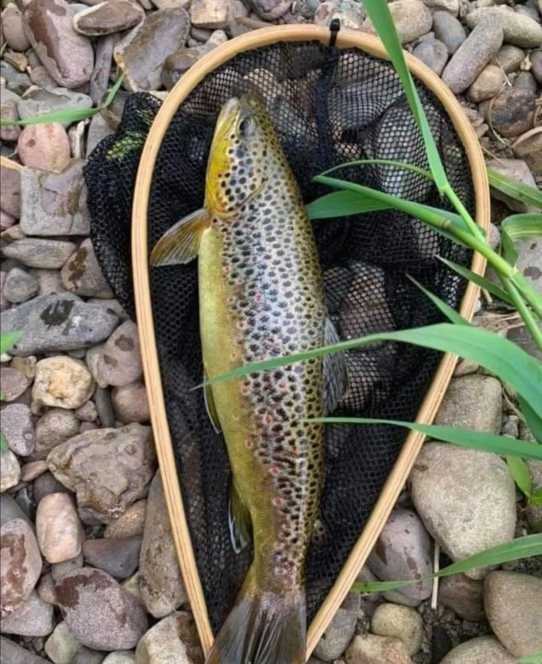 Cable Island Bed and Breakfast