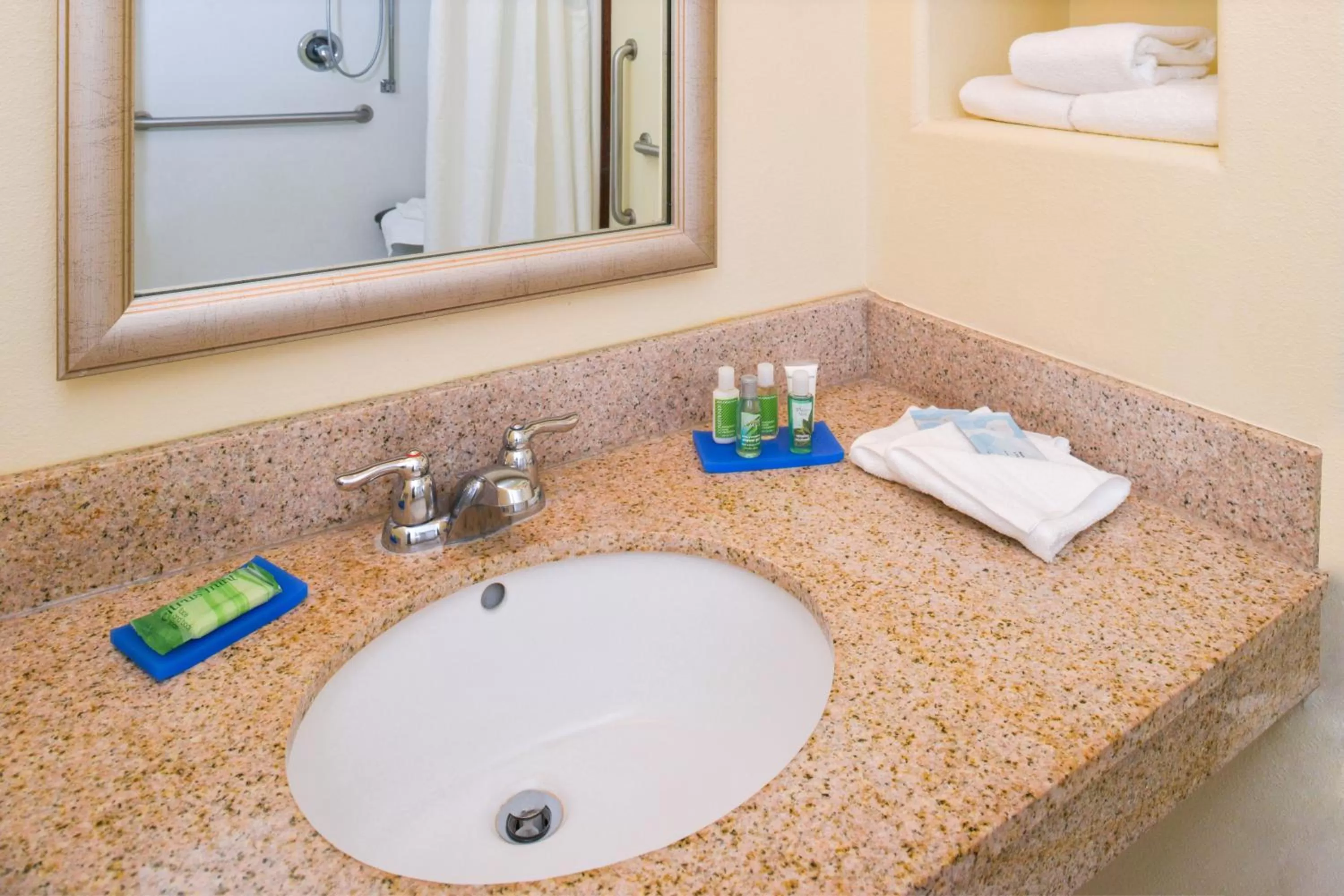 Bathroom in Holiday Inn Express & Suites Alamosa by IHG
