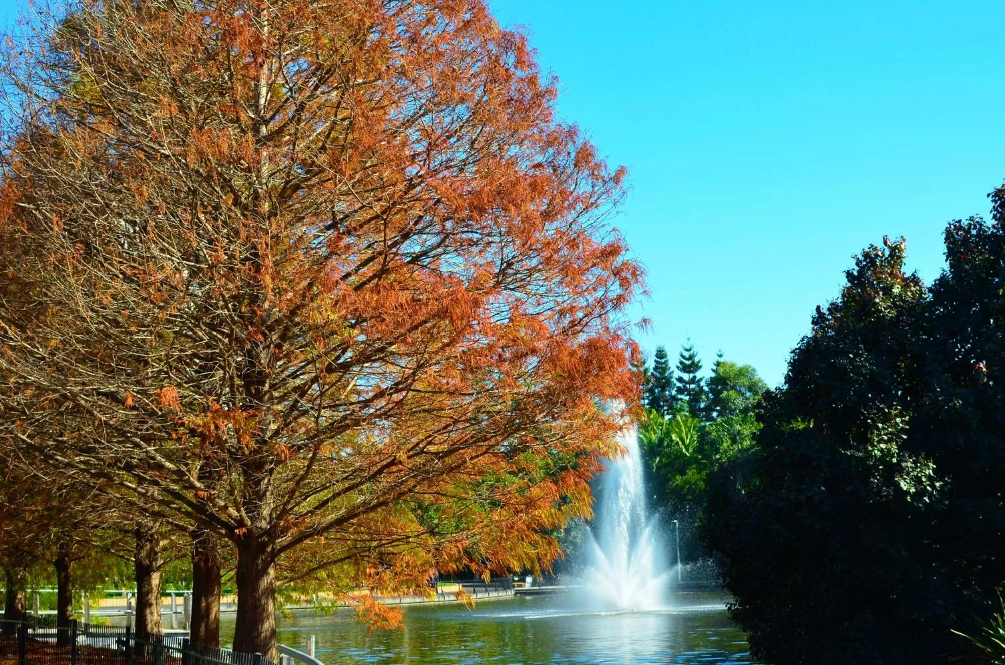 Nearby landmark in Soho Brisbane