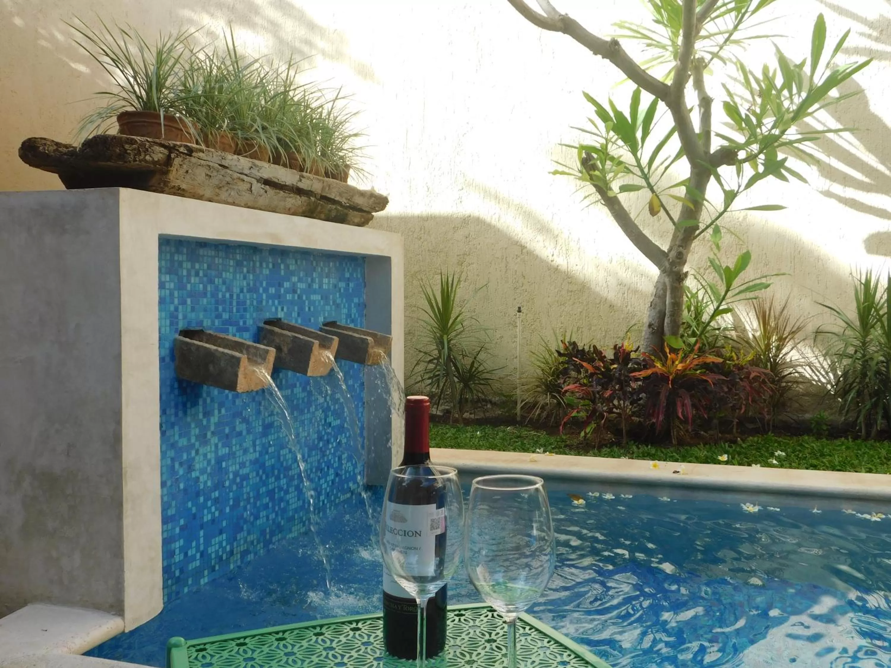 Swimming Pool in Hotel Boutique Casa Flor de Mayo