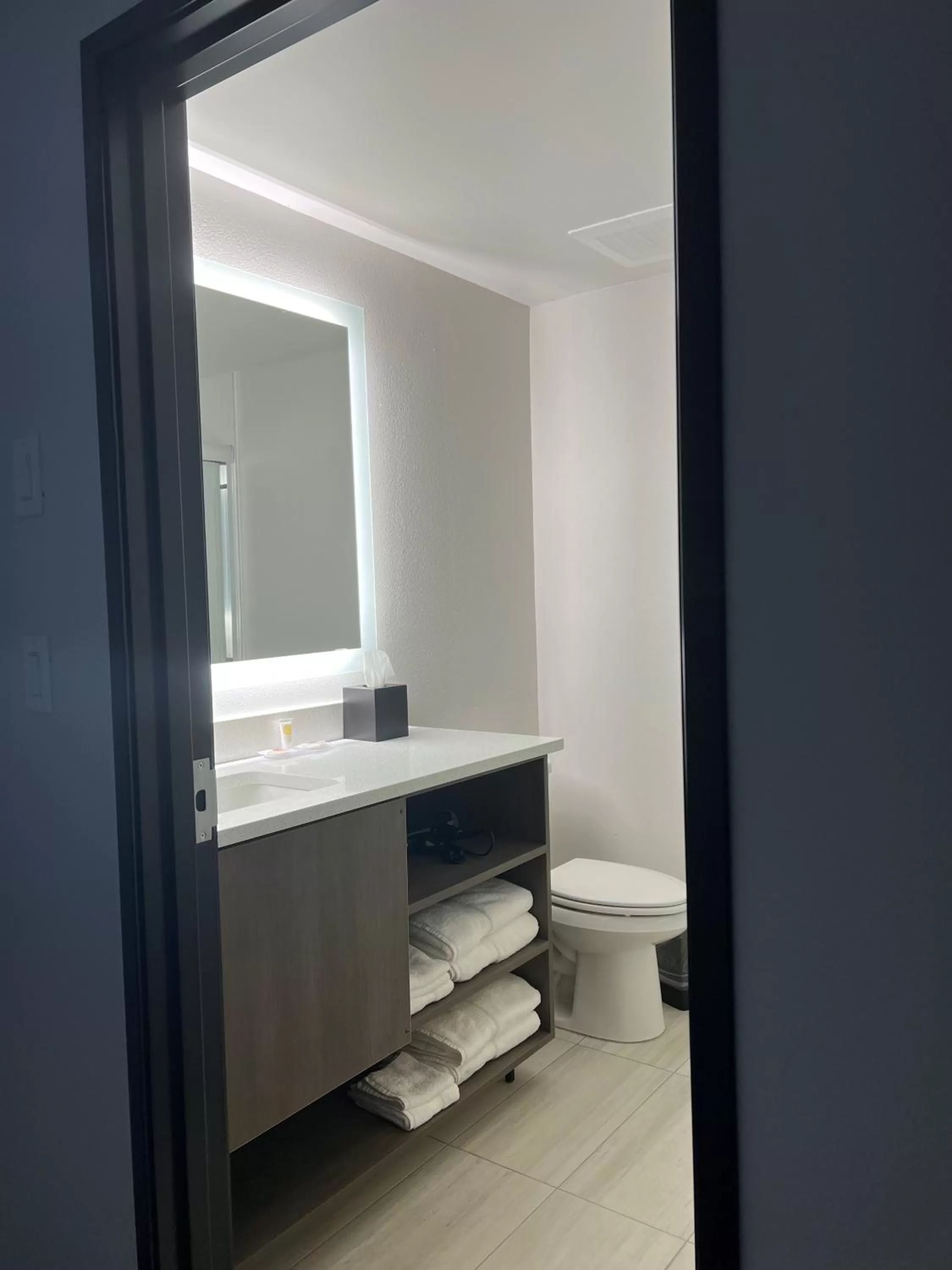 Bathroom in Comfort Inn & Suites New Port Richey Downtown District