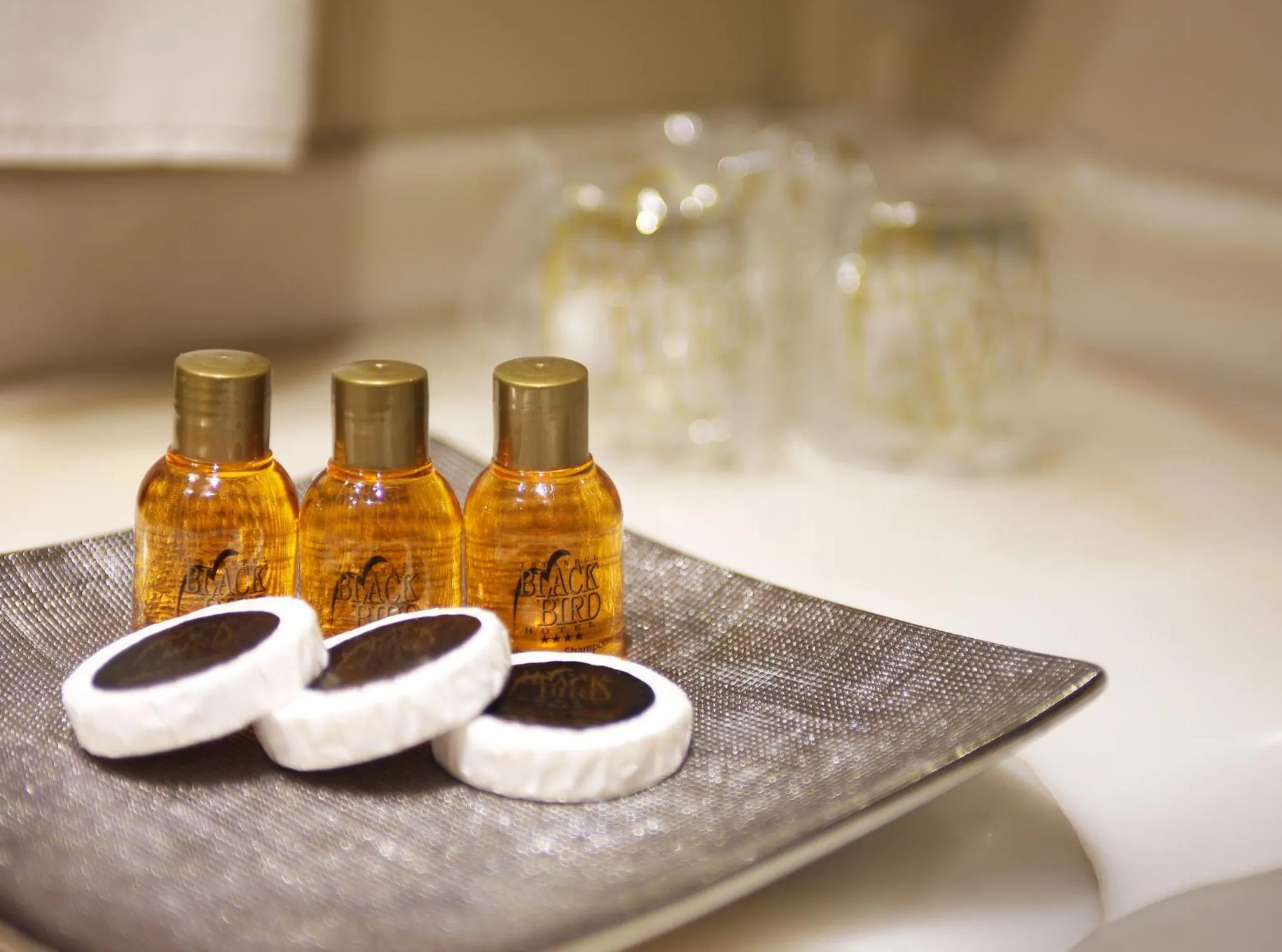 Bathroom, Drinks in Black Bird Hotel