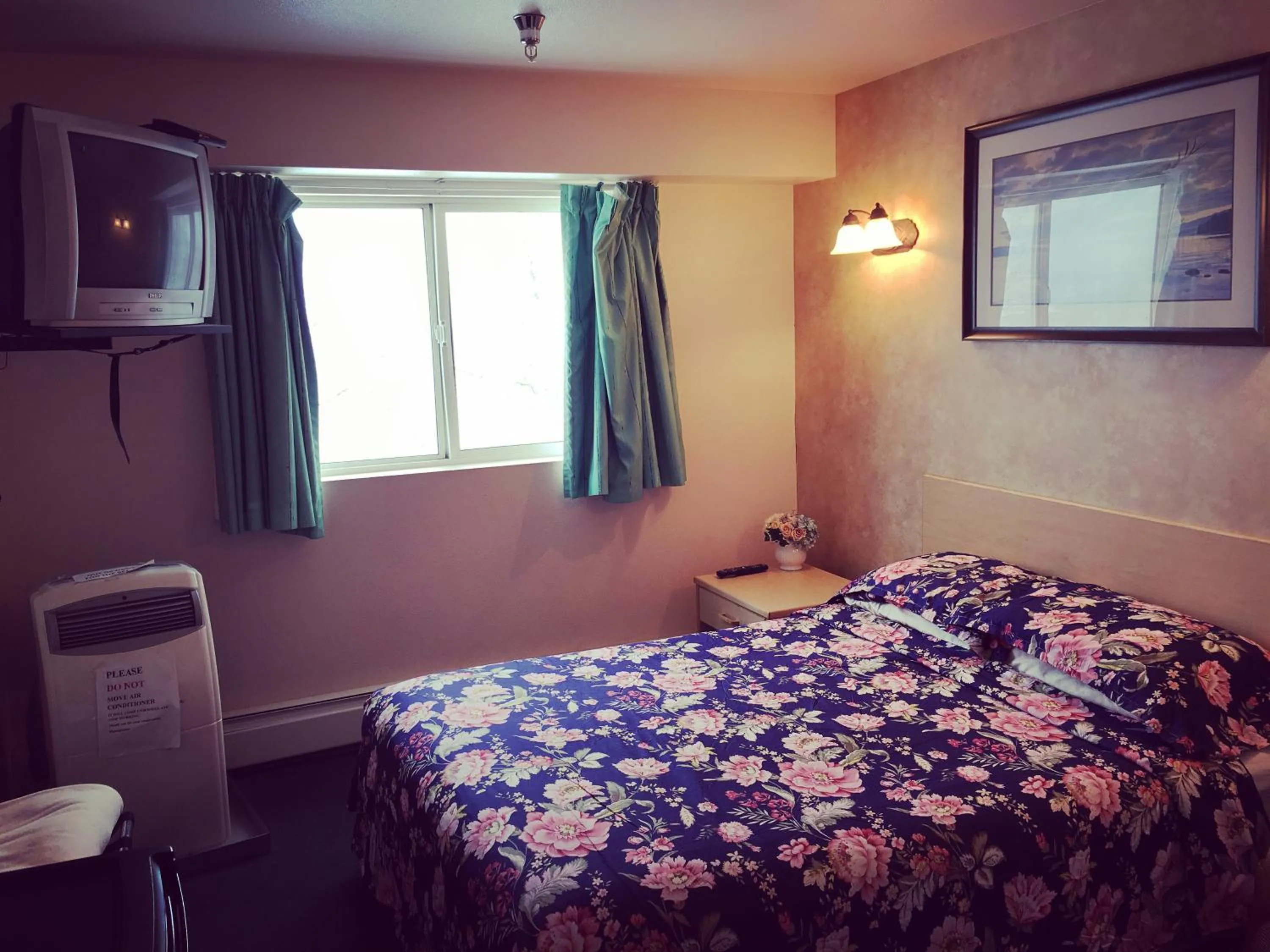 Bed in Windbreak Cafe