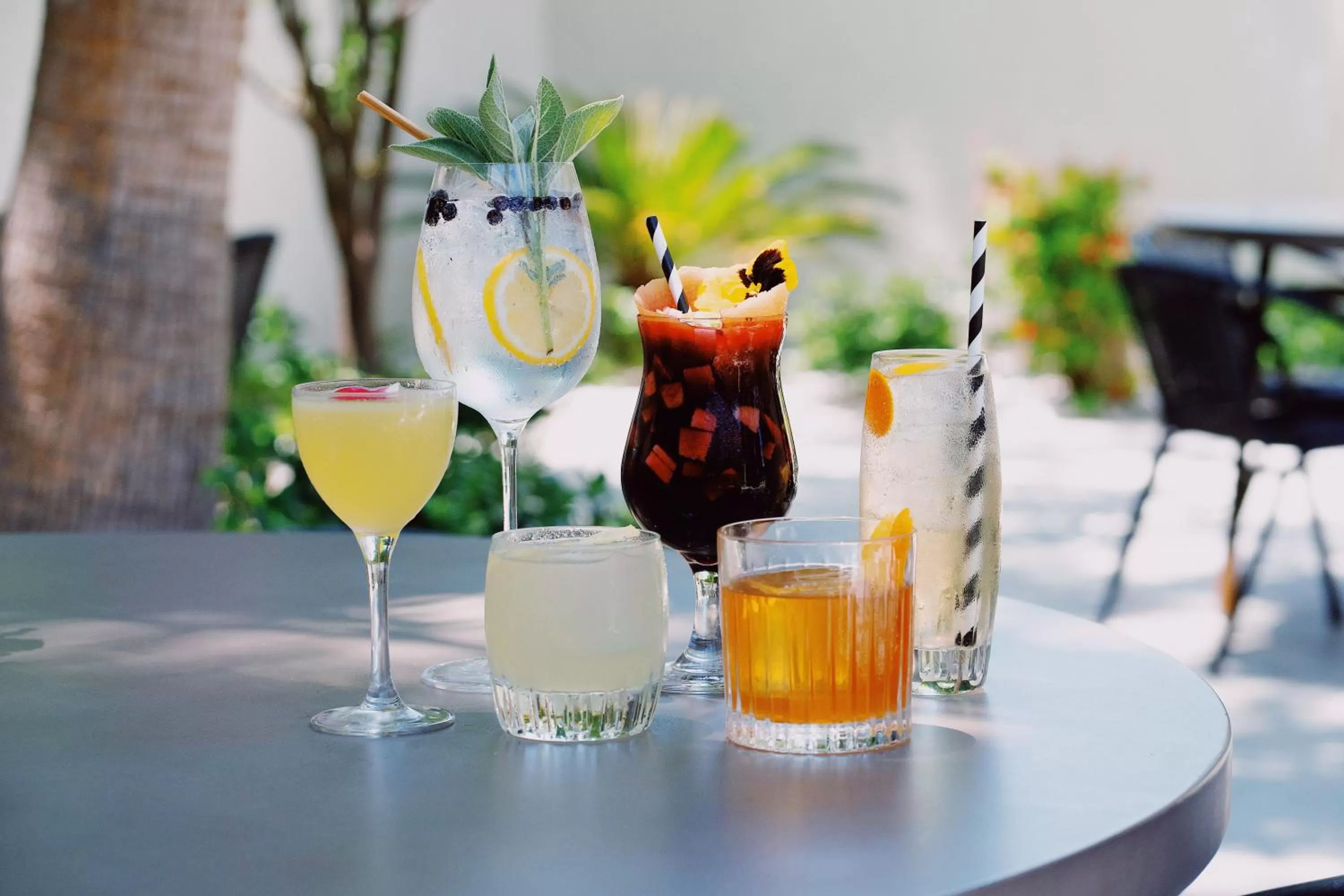 Drinks in Villa Royale