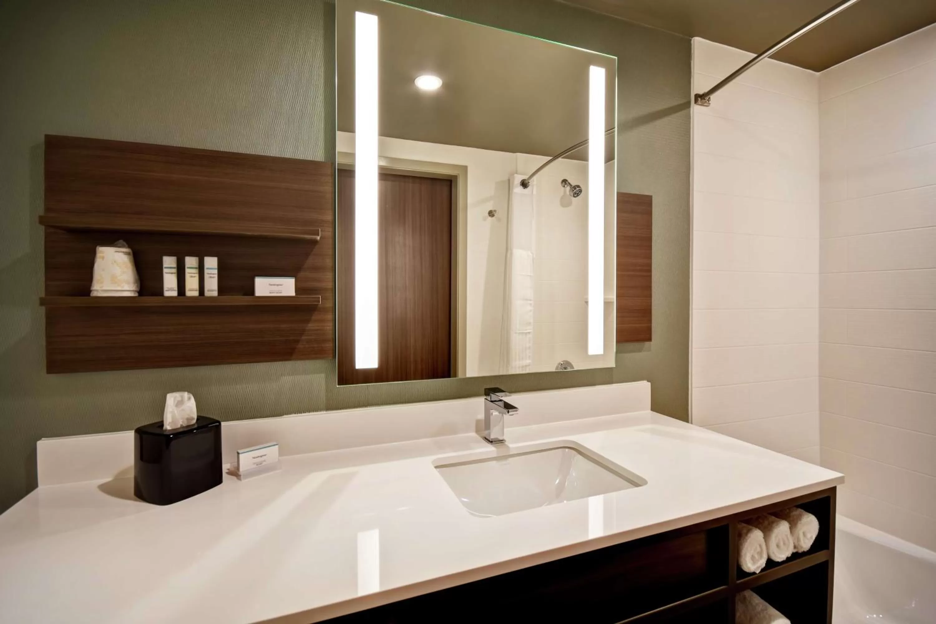 Bathroom in Hilton Garden Inn Lansing West