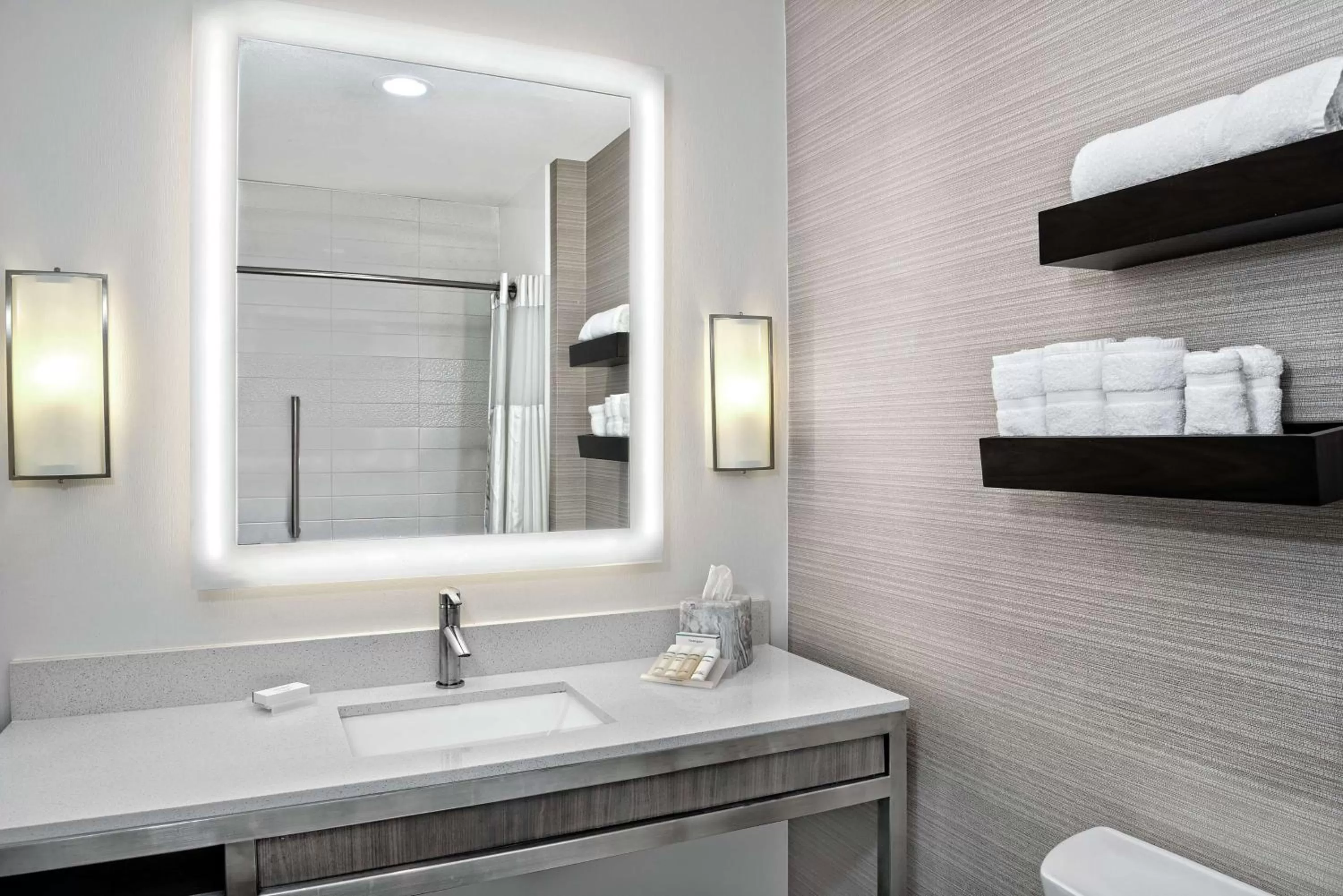 Bathroom in Hilton Garden Inn San Marcos