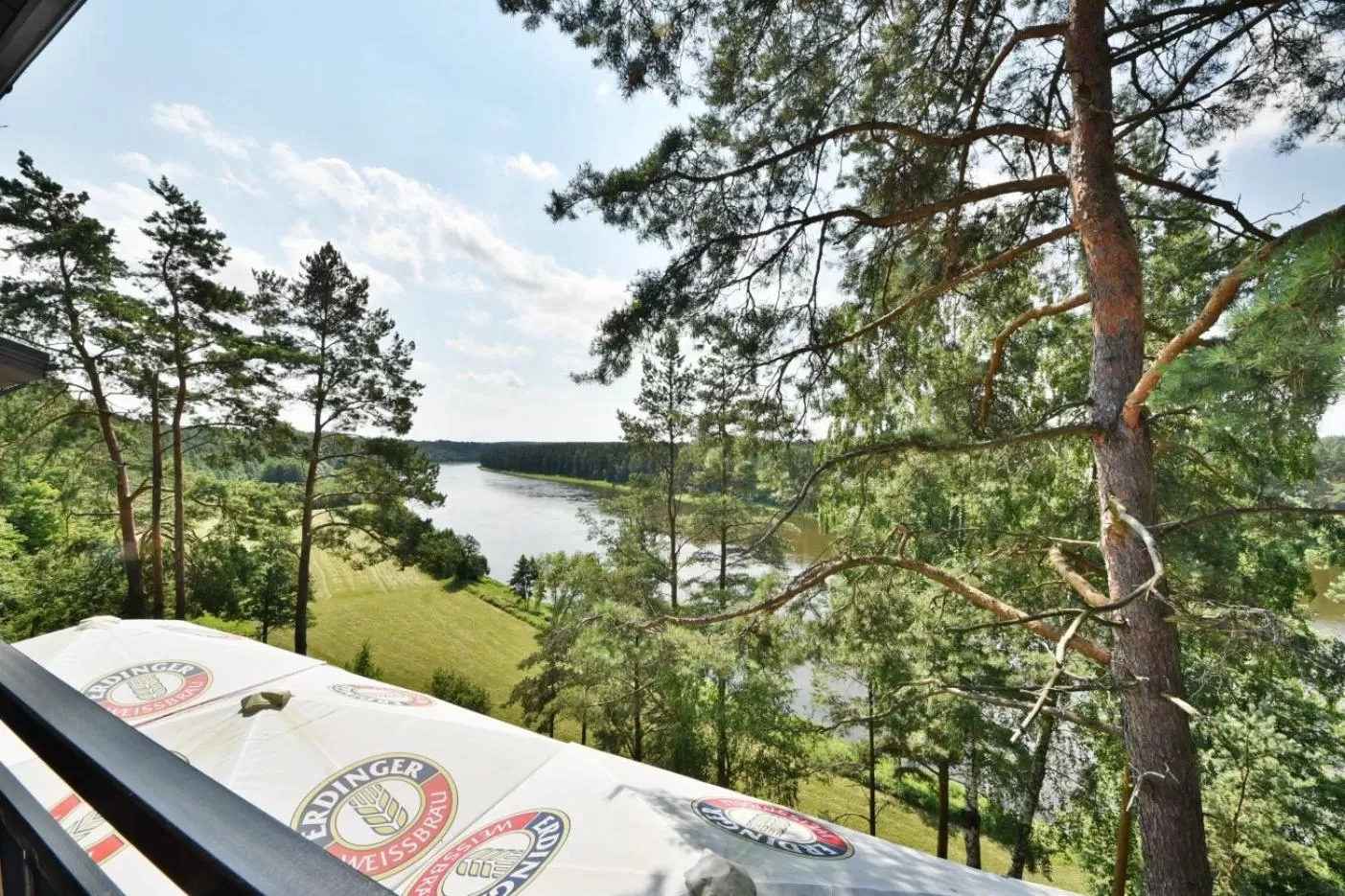 "Seklytele" apartments