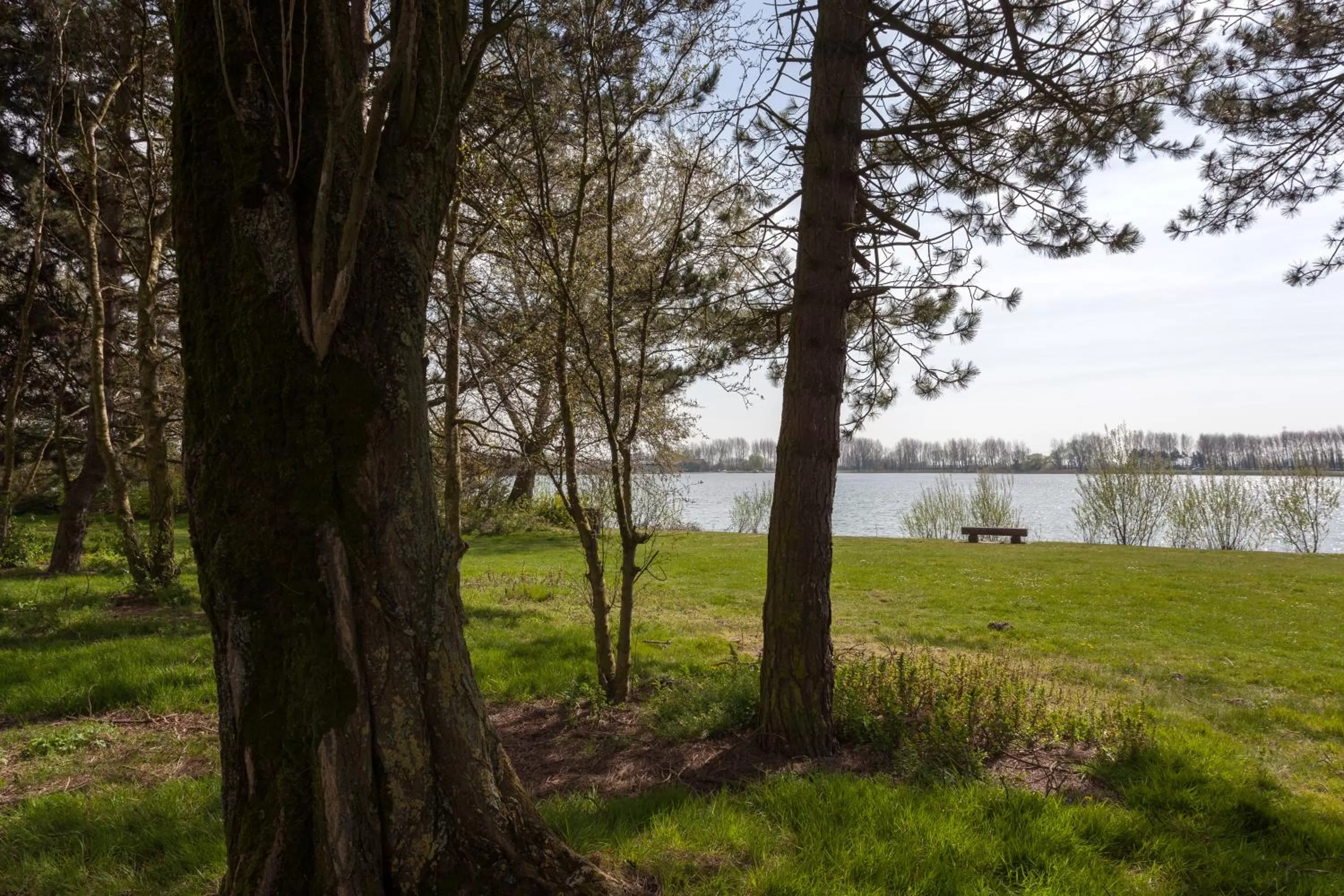 Natural landscape in Best Western Hotel du Lac Dunkerque- Restaurant ouvert 7/7 midi et soir