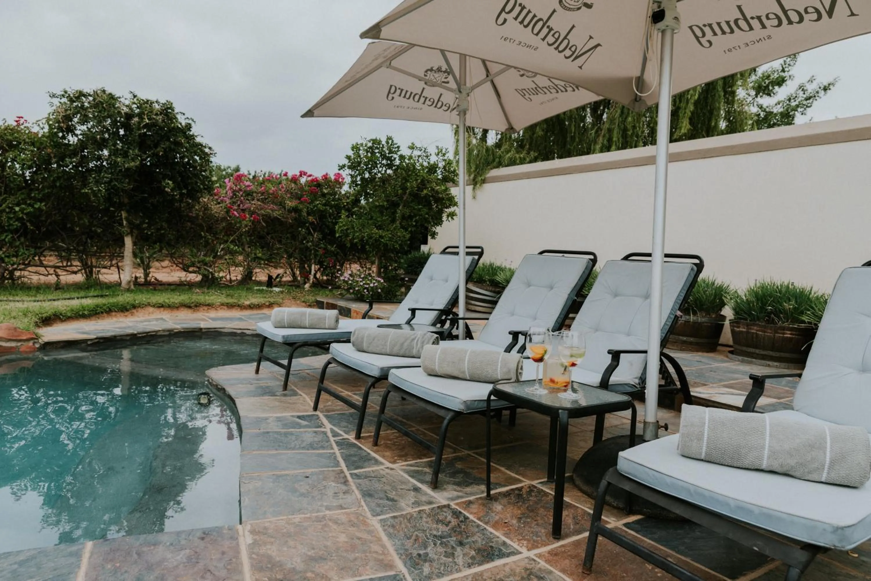 Swimming pool in Cana Vineyard Guesthouse