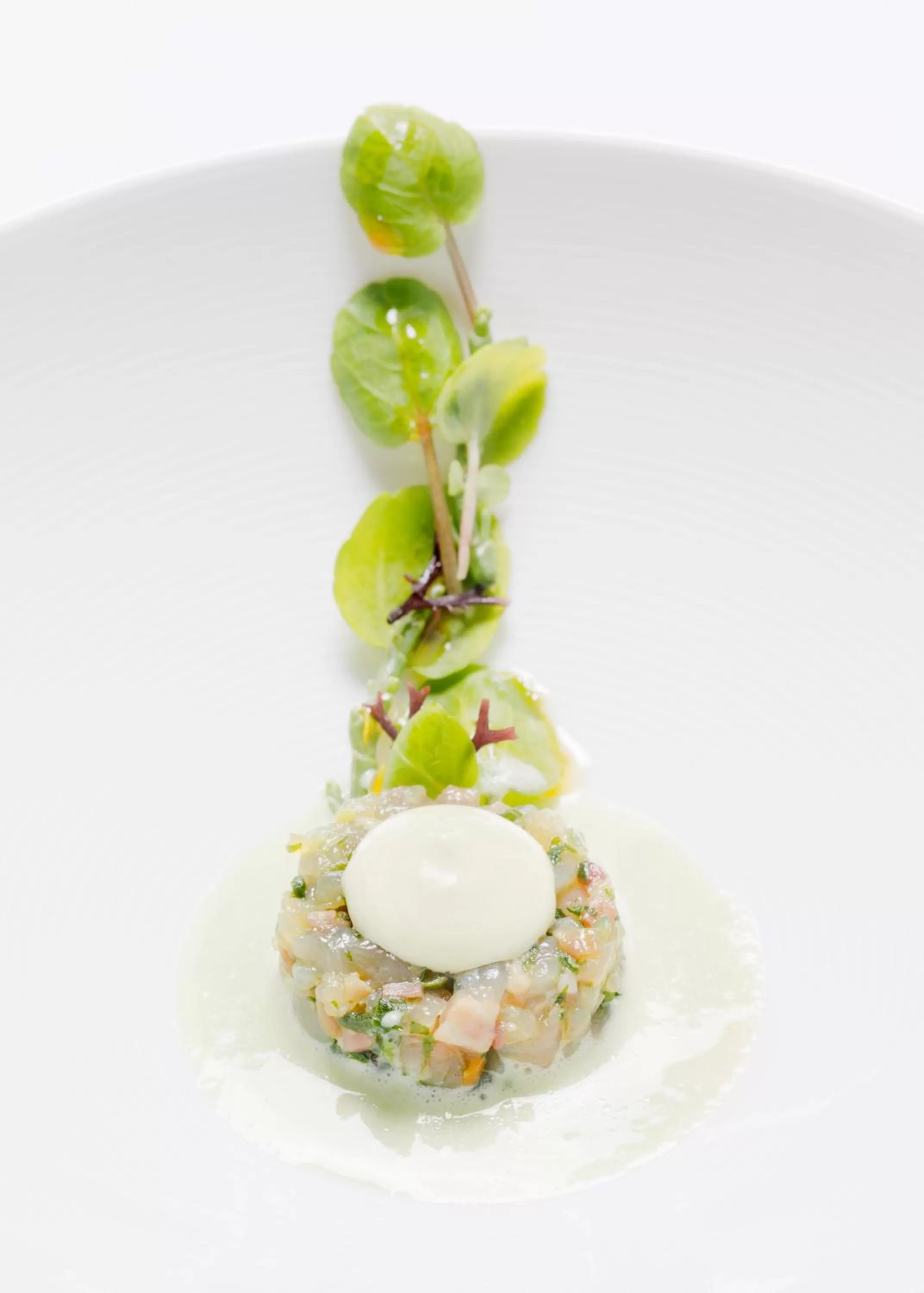 Restaurant/places to eat in Hotel Echaurren Relais & Châteaux