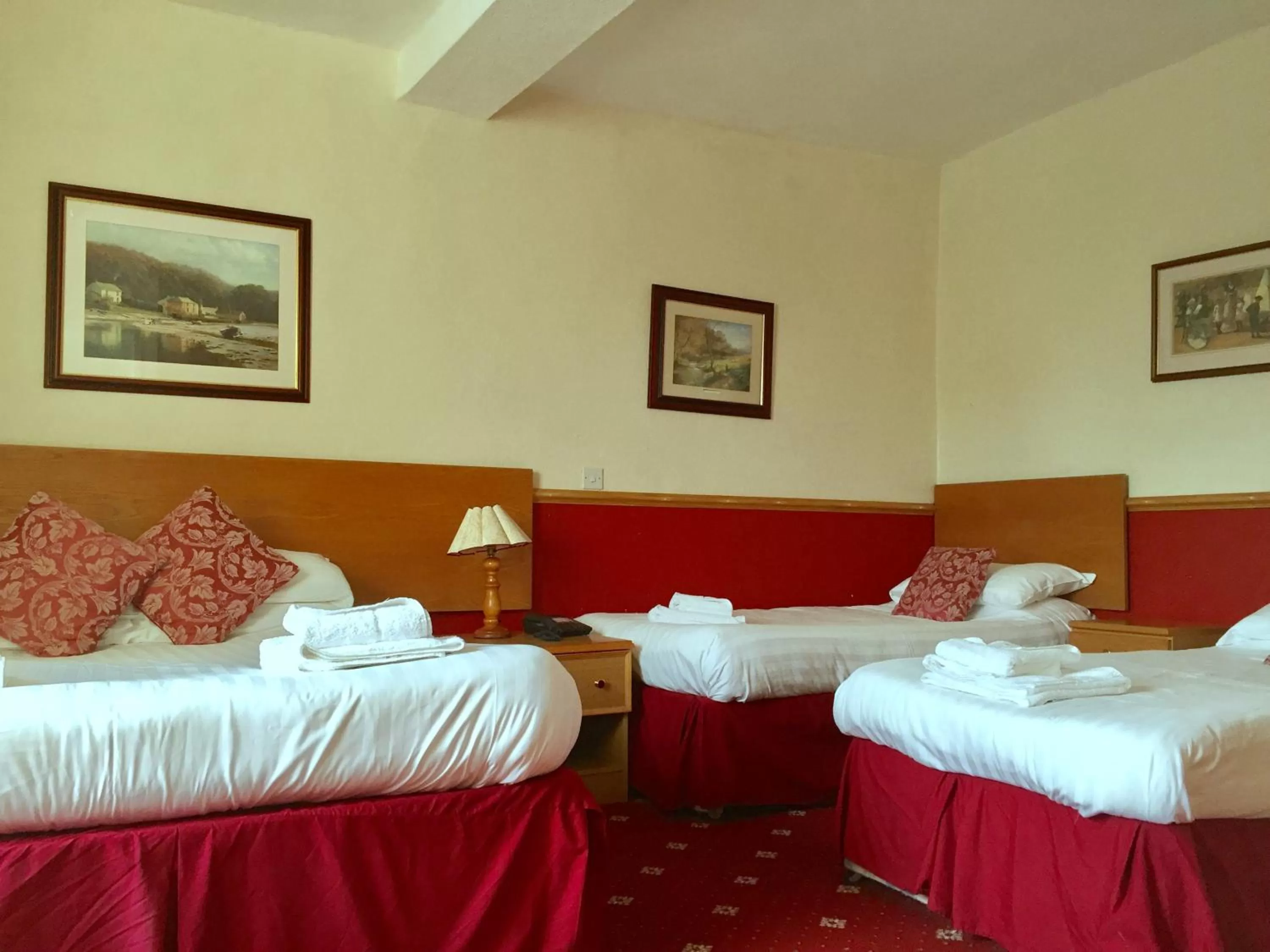 Photo of the whole room, Bed in Plas Coch Hotel Ltd