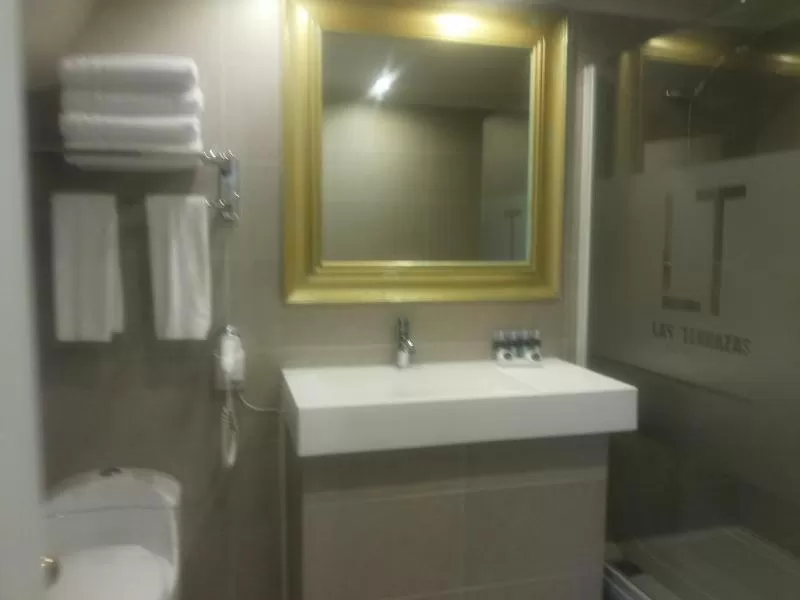 Hotel Las Terrazas Business