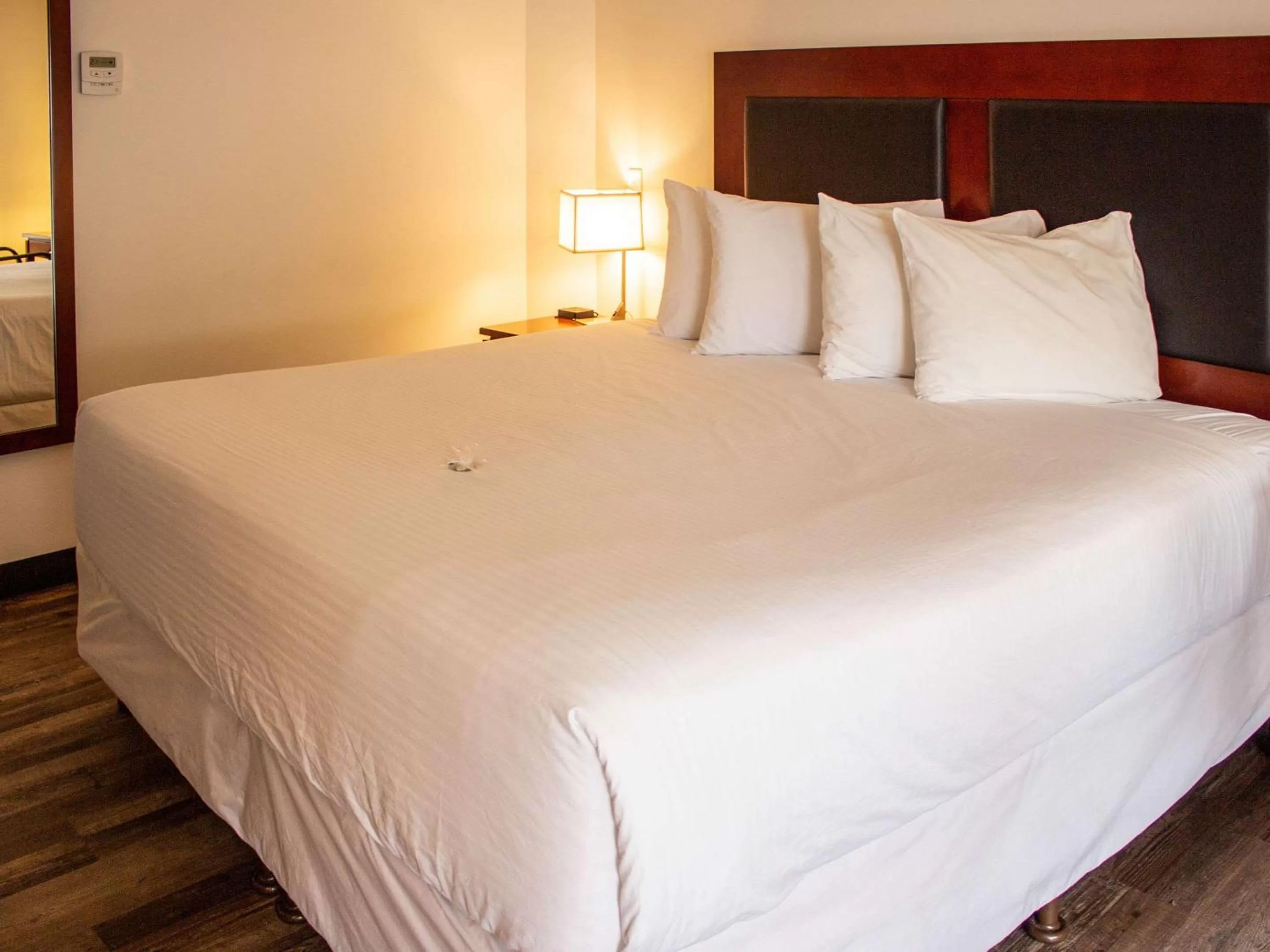 Photo of the whole room, Bed in Hotel Penticton, Ascend Hotel Collection