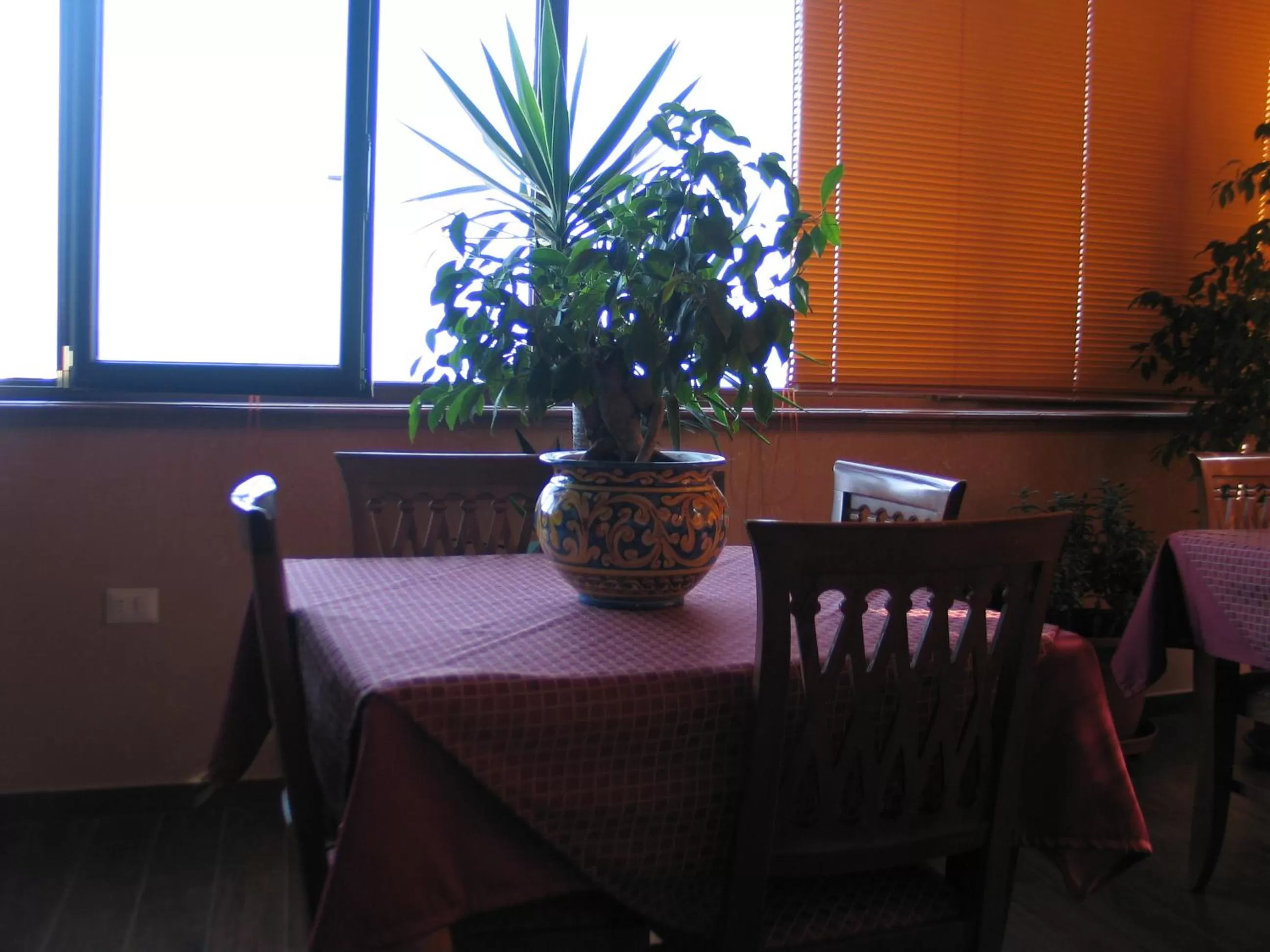 Lounge or bar, Restaurant/Places to Eat in Hotel Bed & Breakfast Minu'