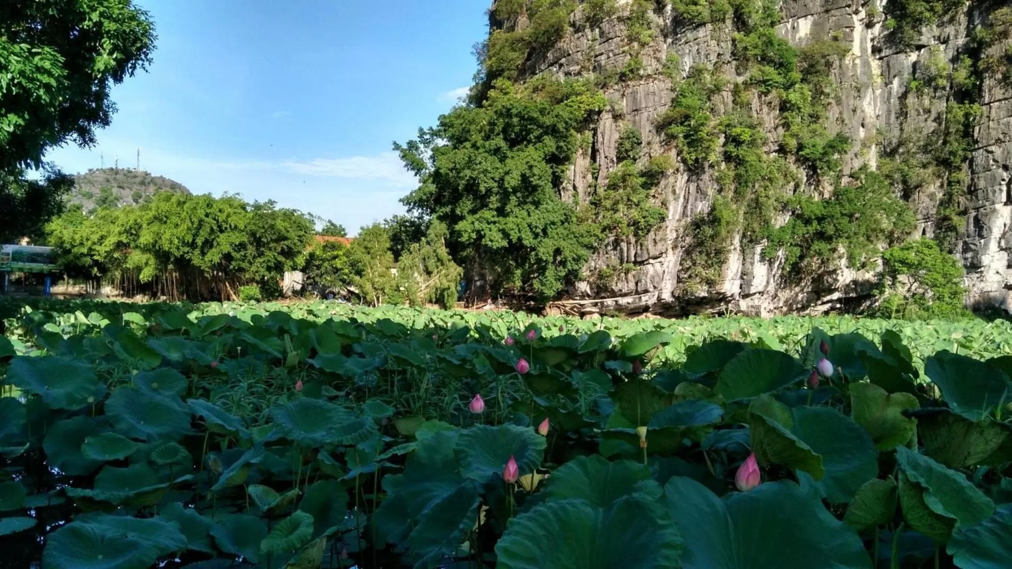 Neighbourhood in Tam Coc Holiday Hotel & Villa