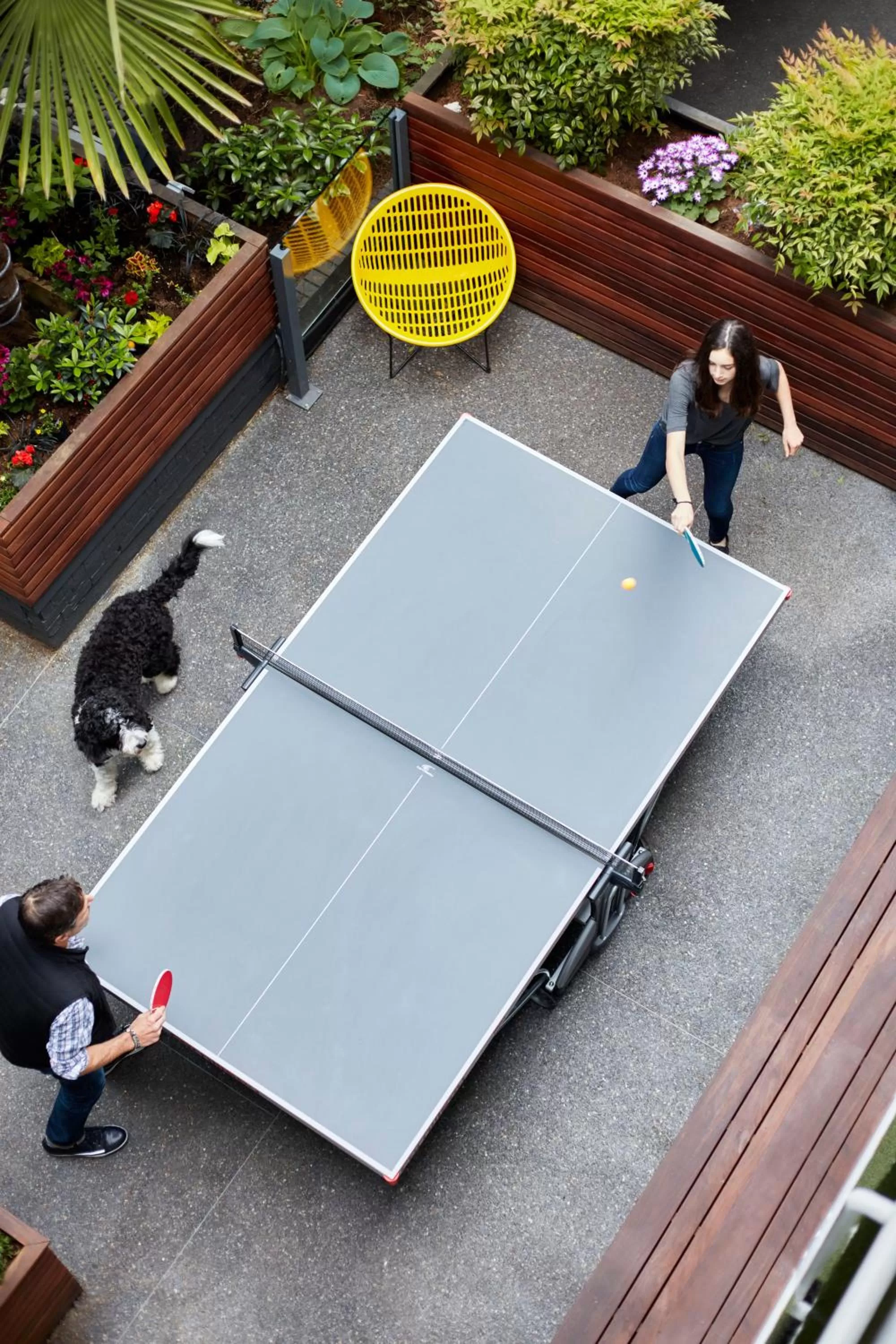 Table tennis in The Burrard