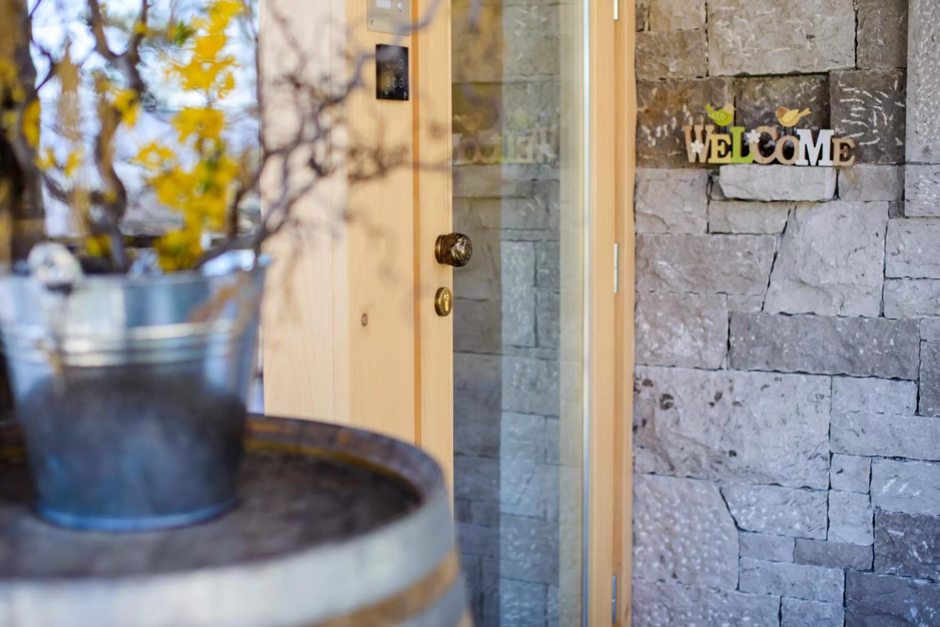 Lobby or reception in Theodosius Forest Village - Glamping in Vipava valley