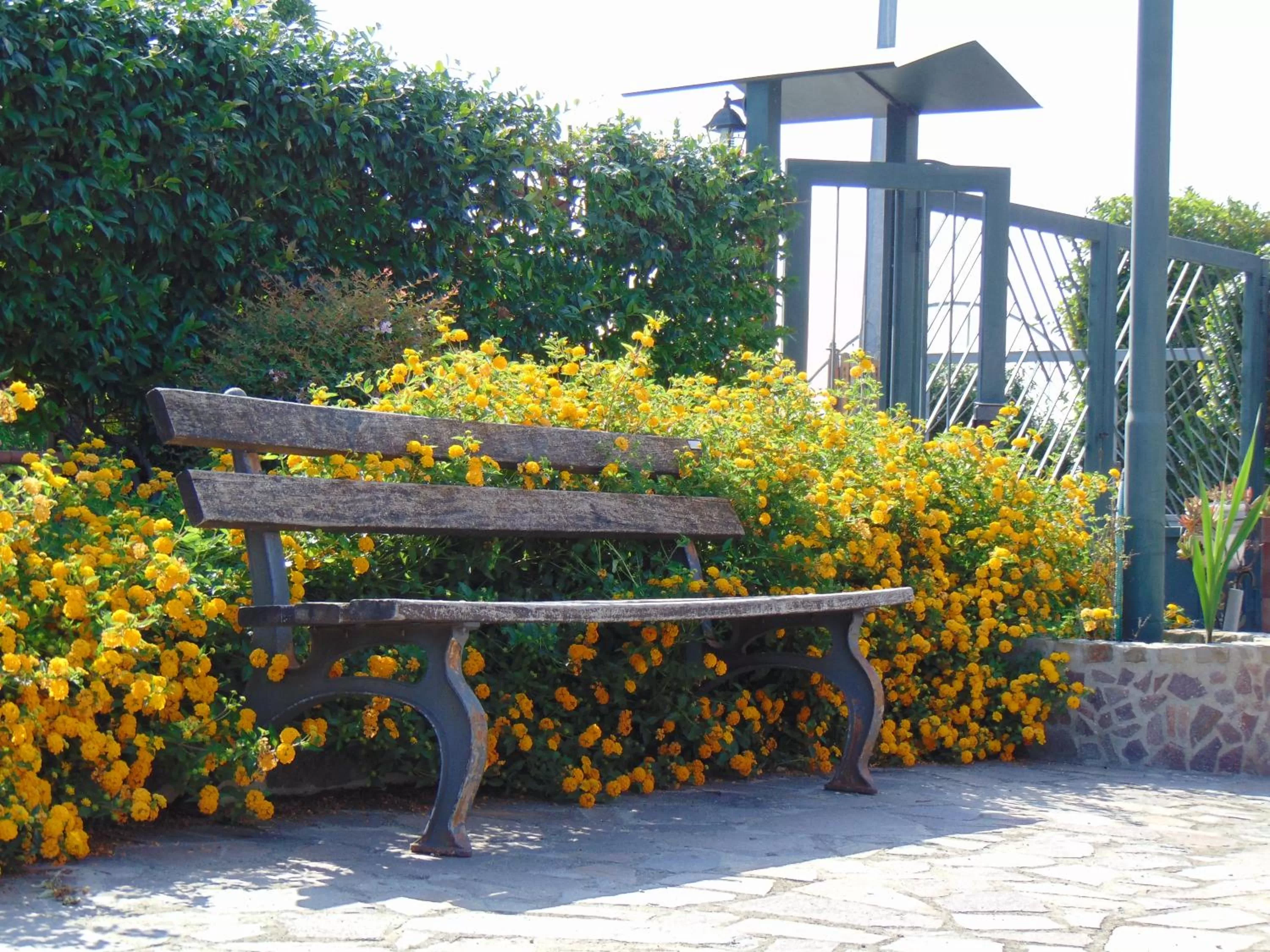 Garden, Patio/Outdoor Area in Villa Celeste B&B