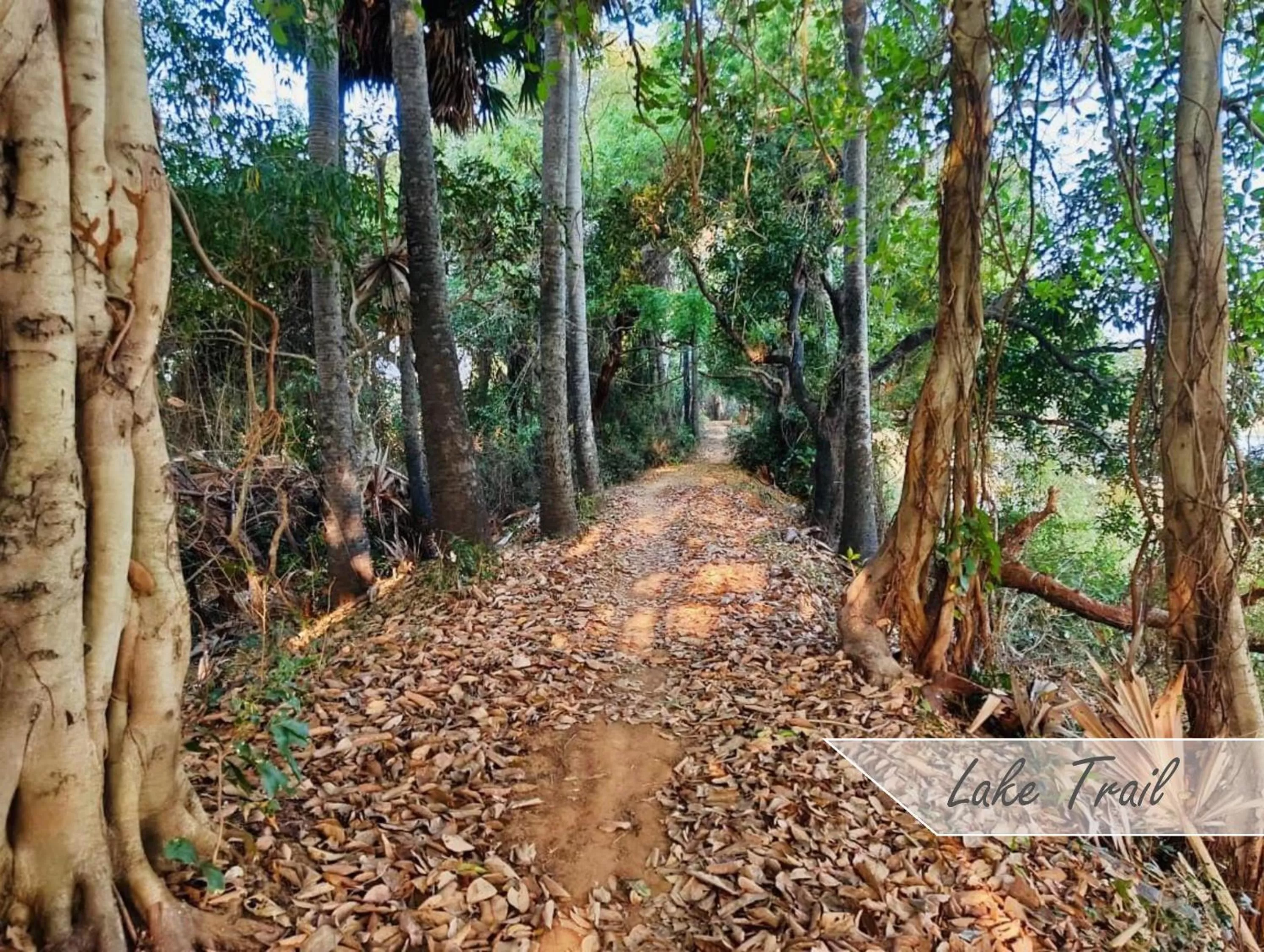 Activities in Marutham Village Resort