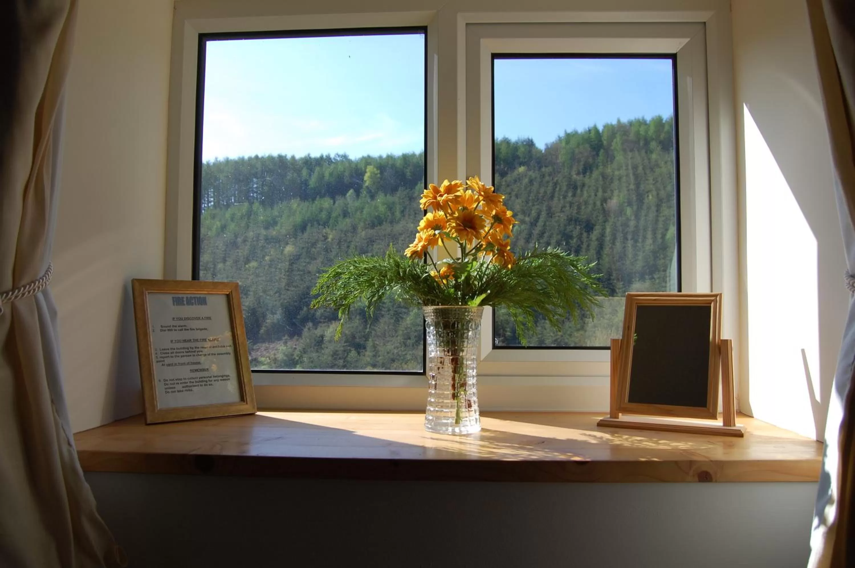 Decorative detail, Mountain View in Middle Woodbatch B&B