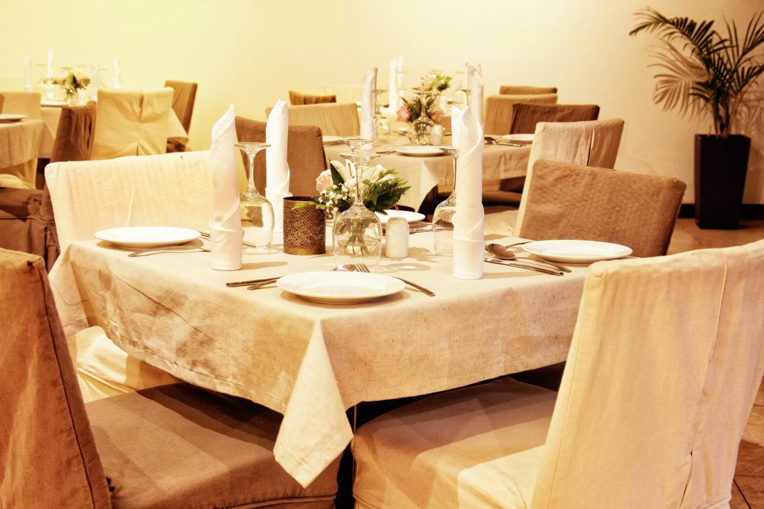 Restaurant/places to eat in The Zehneria Hotel