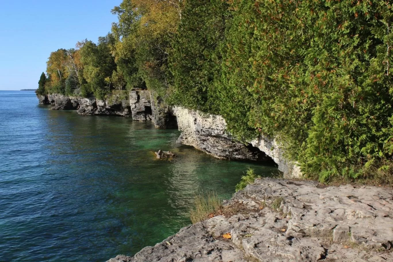 Natural Landscape in Innlet Motel